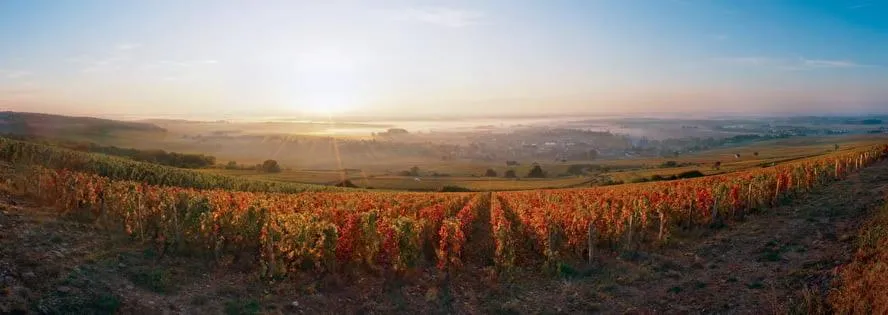 Nearby landmark in LOGIS Hotel l'Escargotière Dijon Sud - Chenove