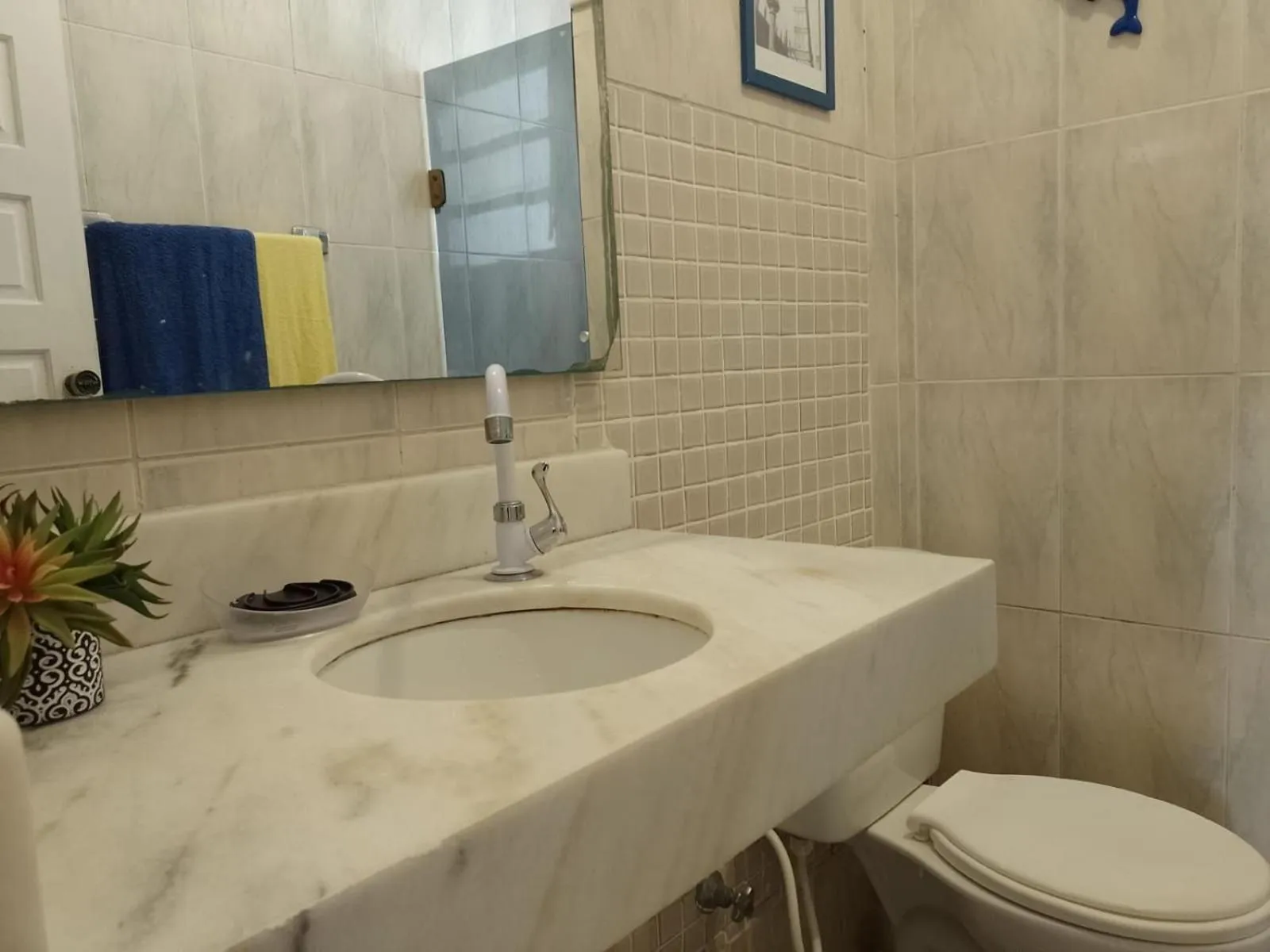 Toilet in FAMILY- Conheça Cabo Frio e ARRAIAL e traga seu pet - Confira