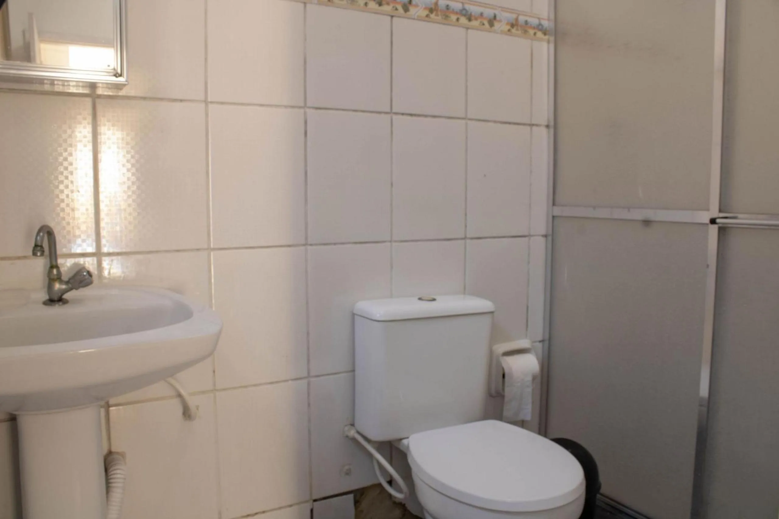 Toilet in FAMILY- Conheça Cabo Frio e ARRAIAL e traga seu pet - Confira