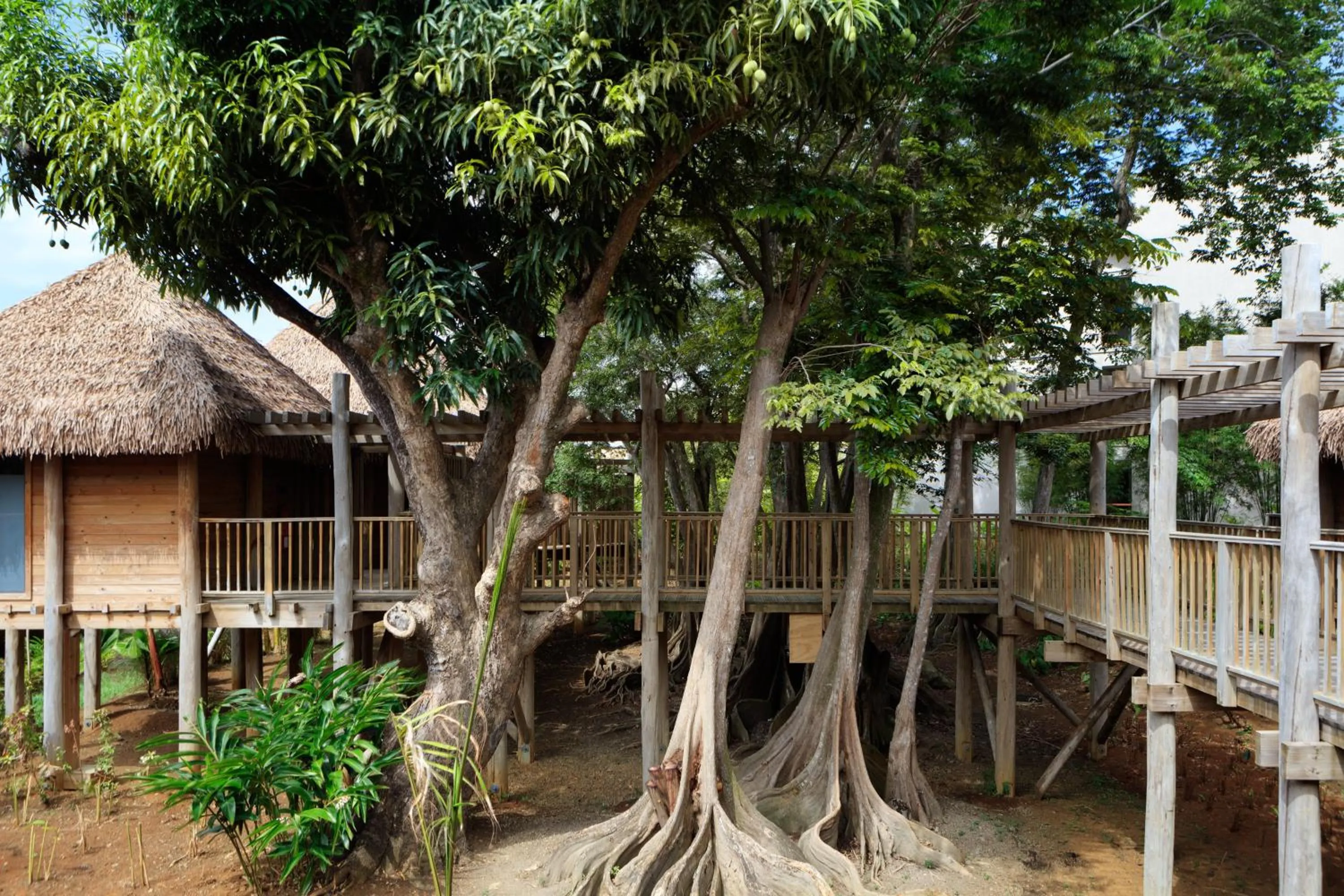 Spa and wellness centre/facilities in InterContinental Dominica Cabrits Resort & Spa by IHG