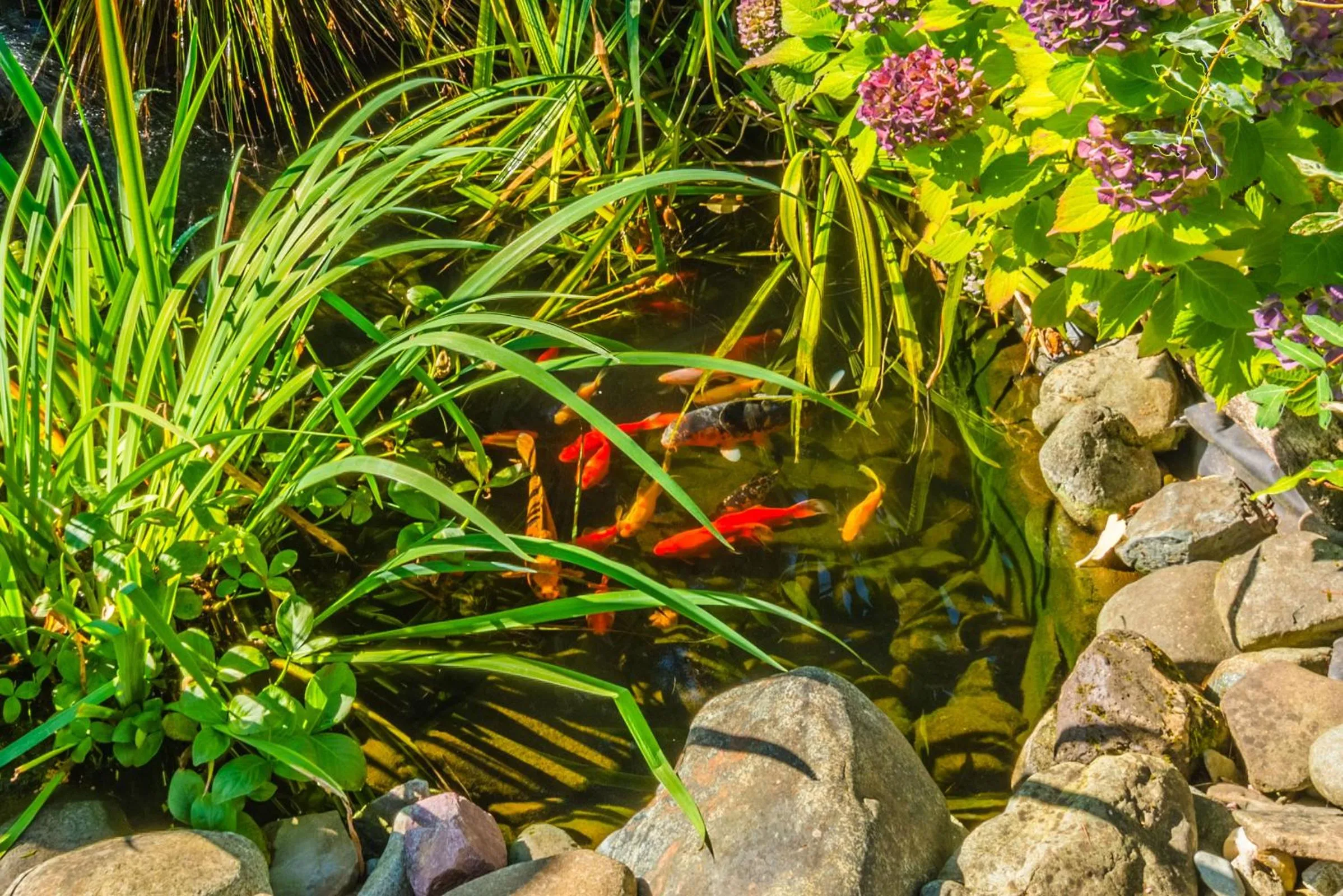 Garden in Outdoor Lovers