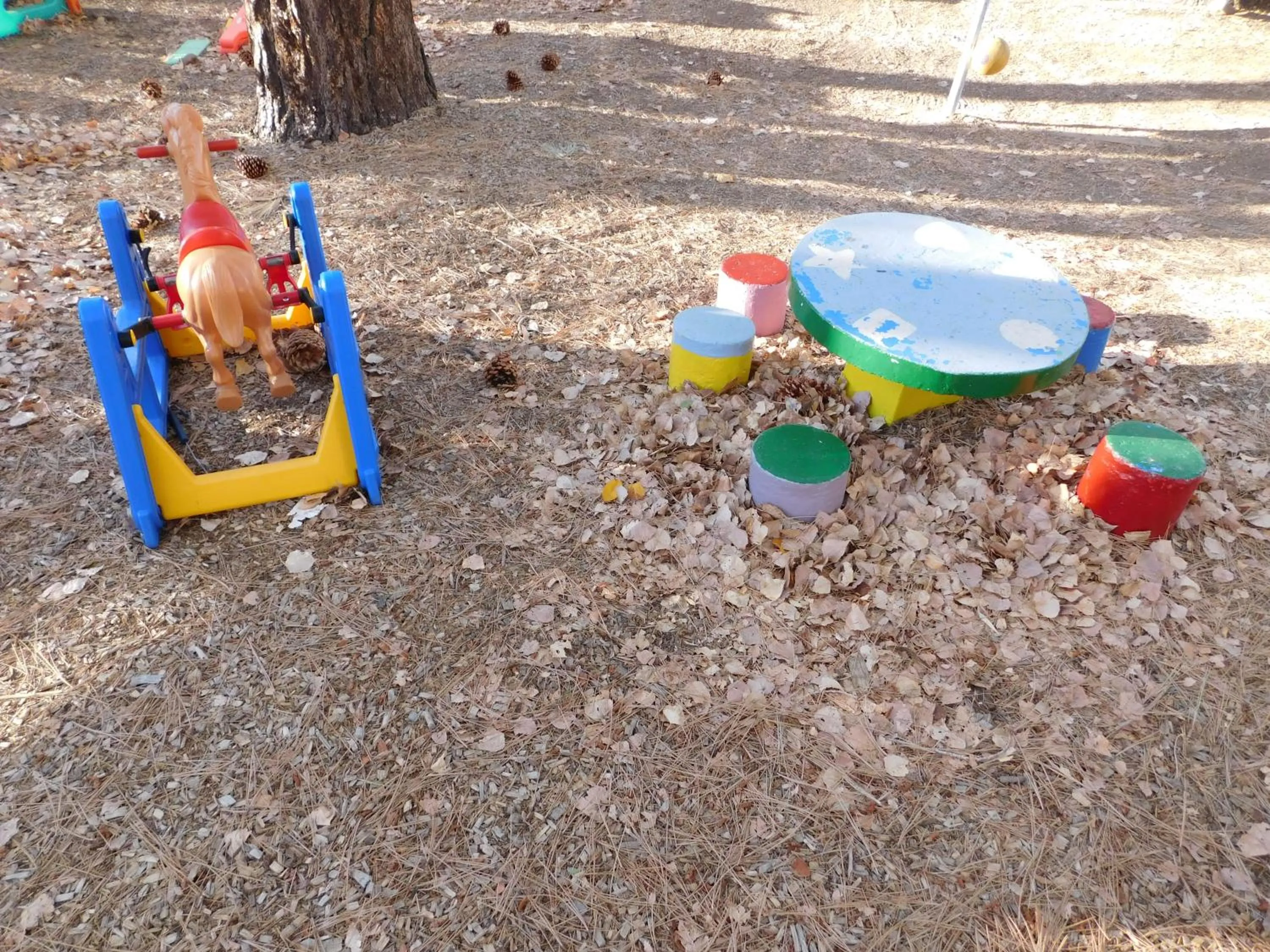 Children play ground in Timberline Lodge