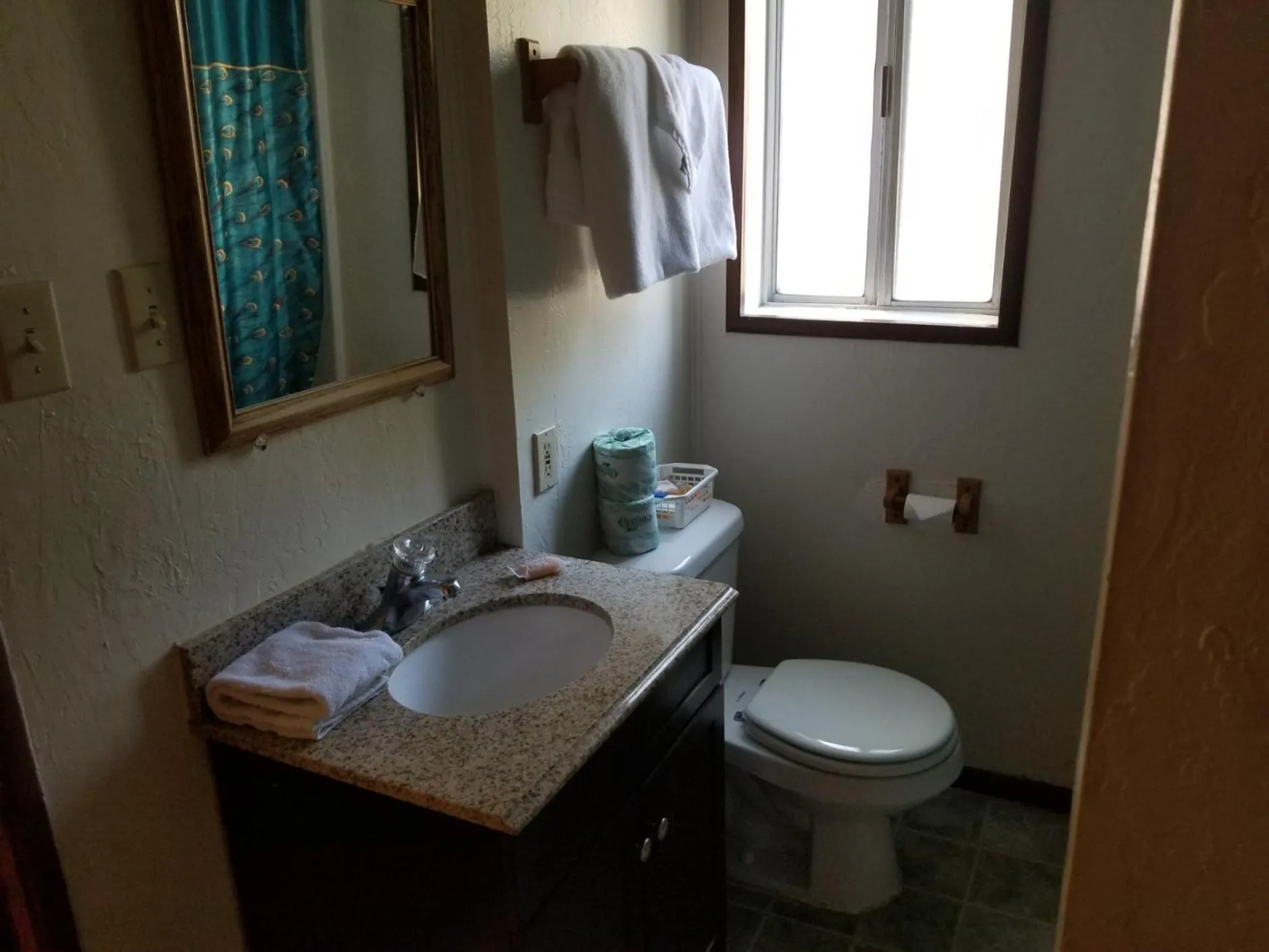 Toilet in Timberline Lodge