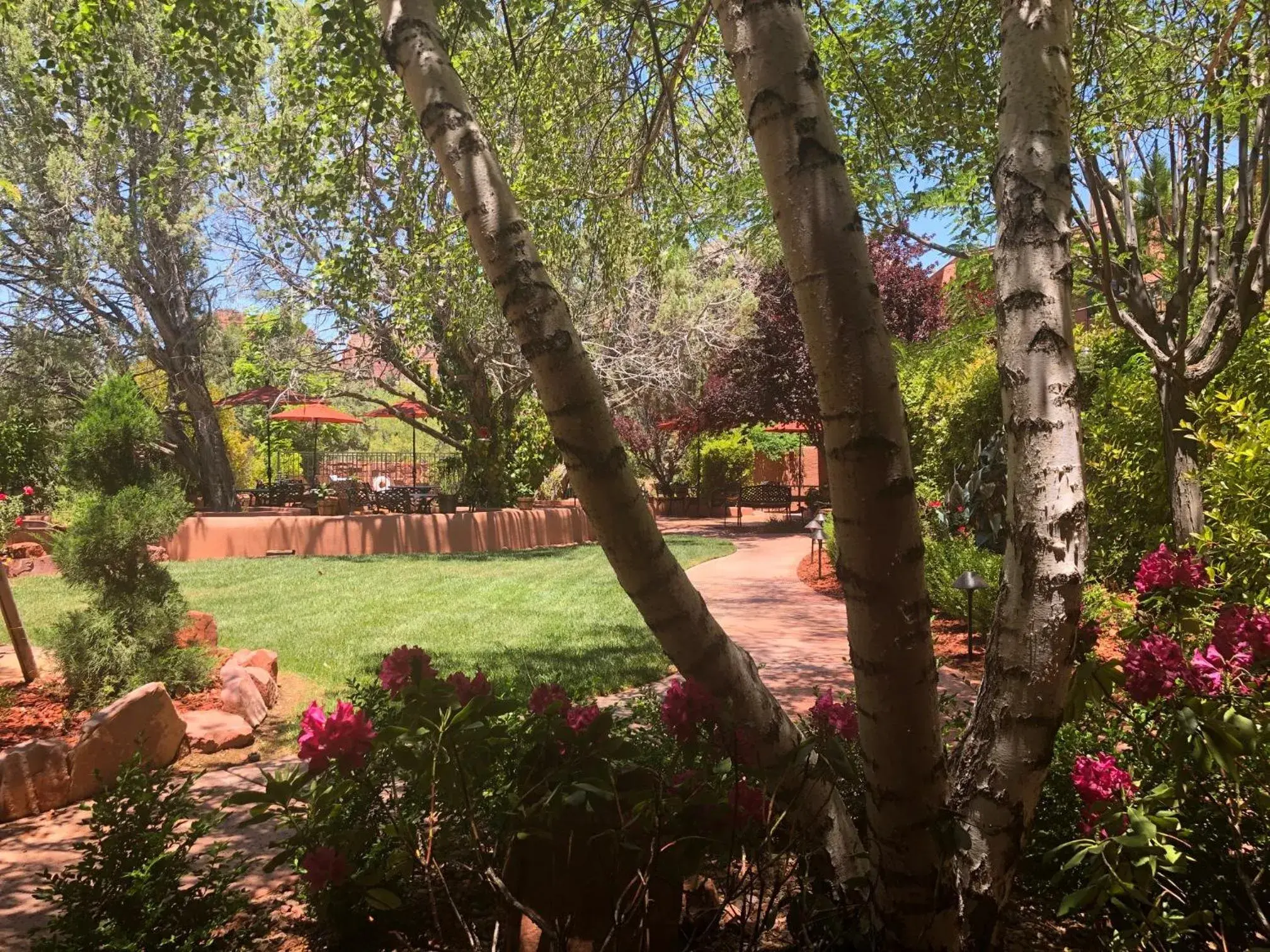 Garden view in Casa Sedona Inn Garden view in Casa Sedona Inn