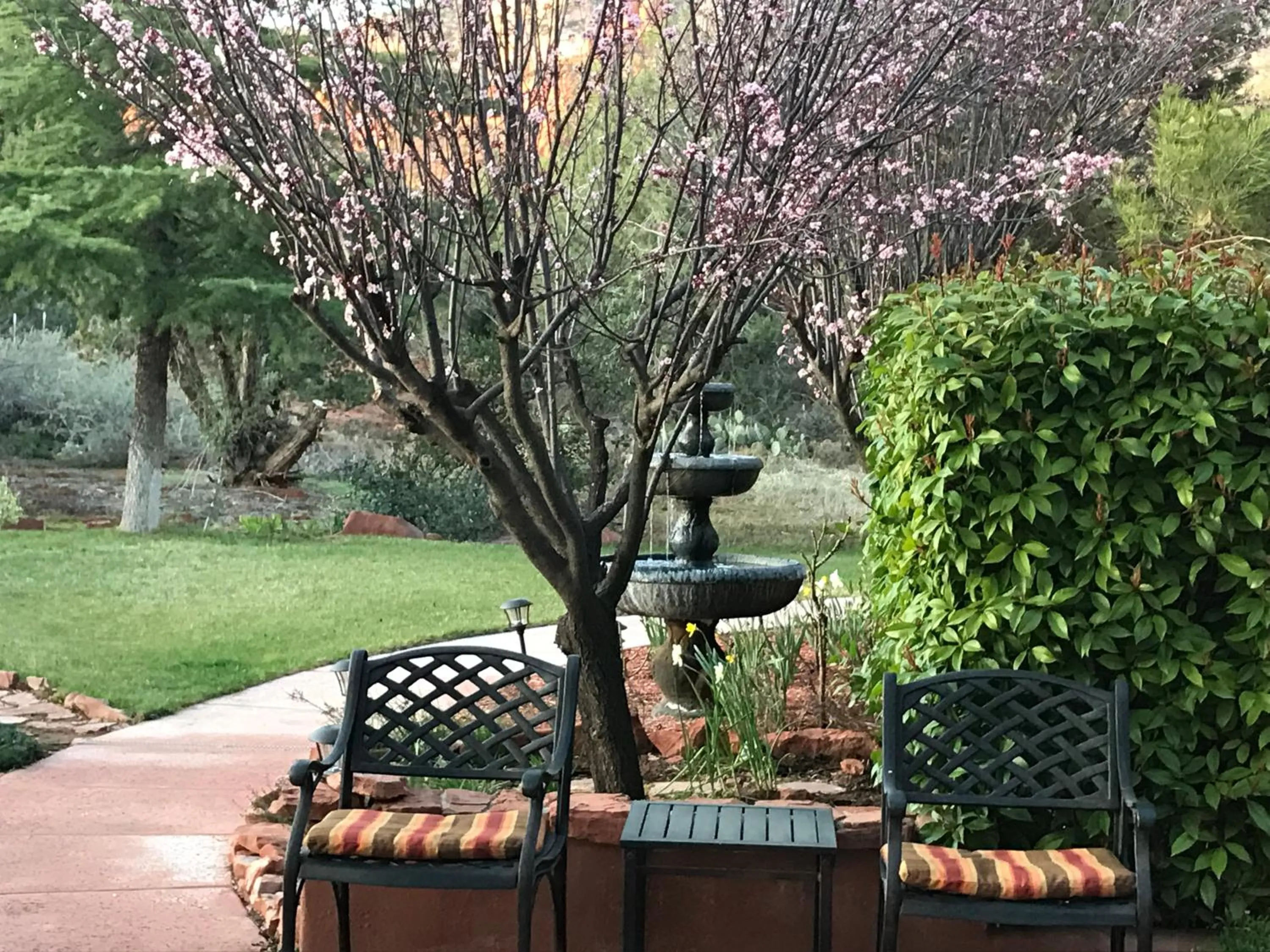 Garden view in Casa Sedona Inn