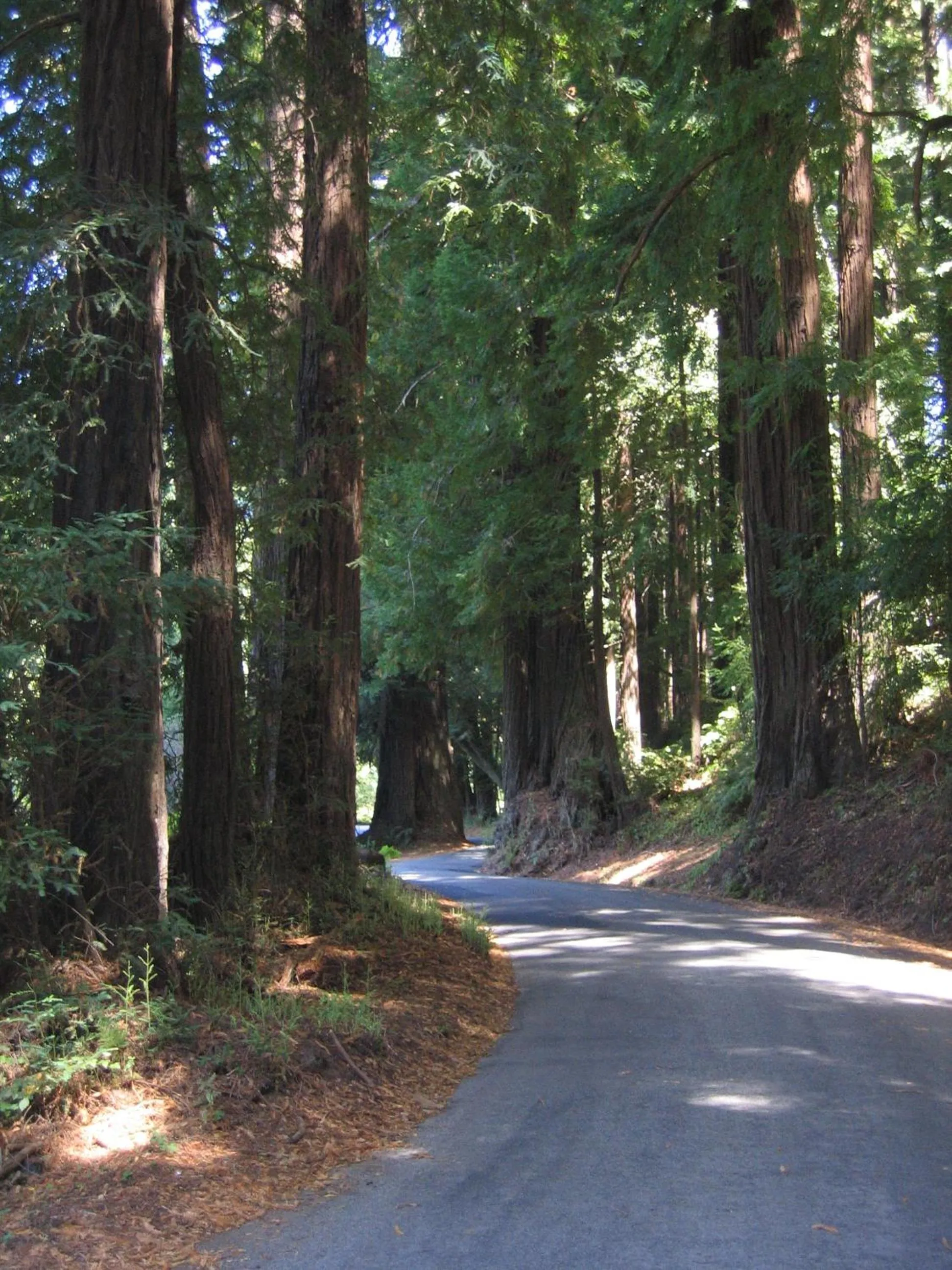 Pescadero Creek Inn