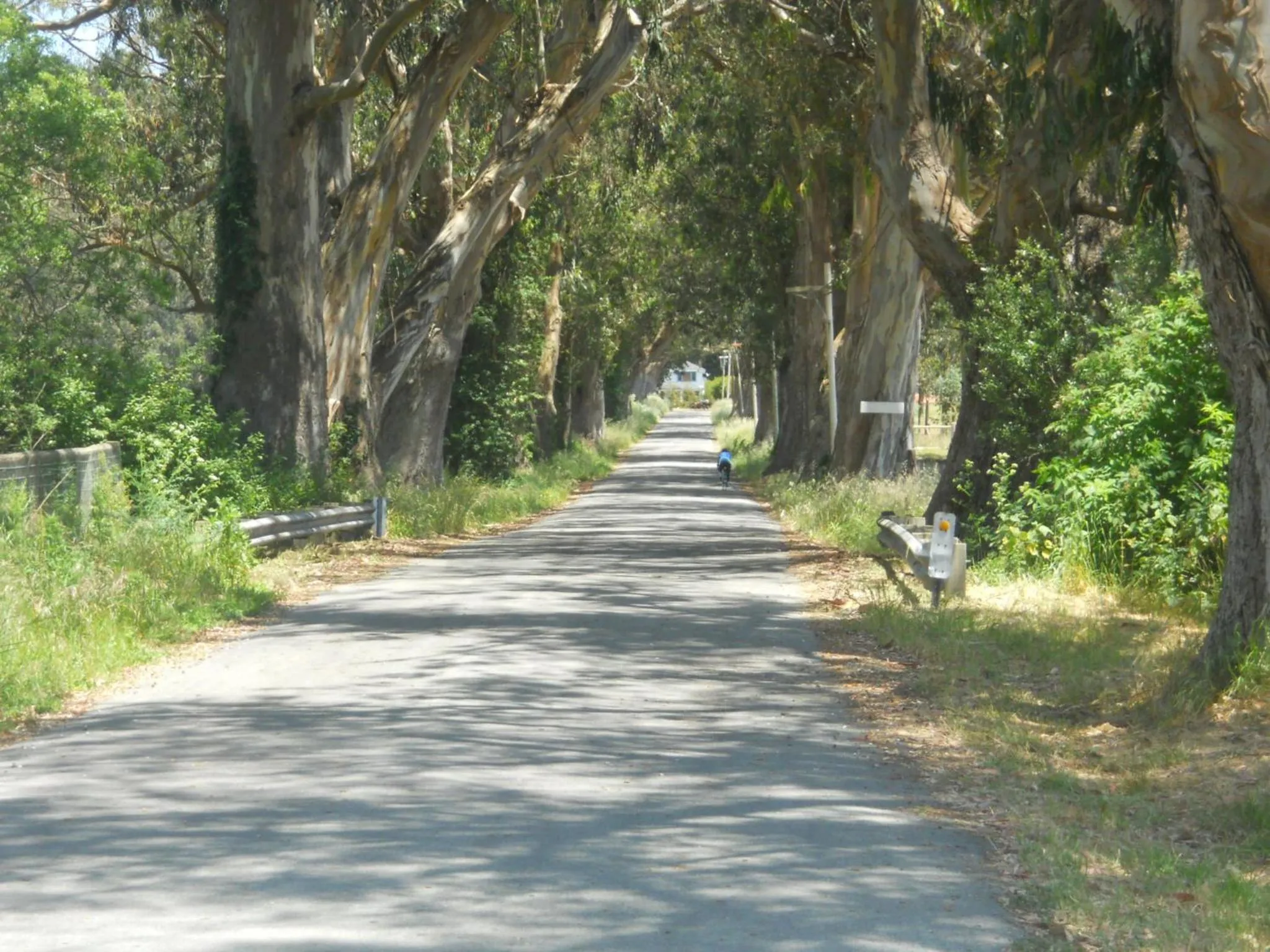 Pescadero Creek Inn