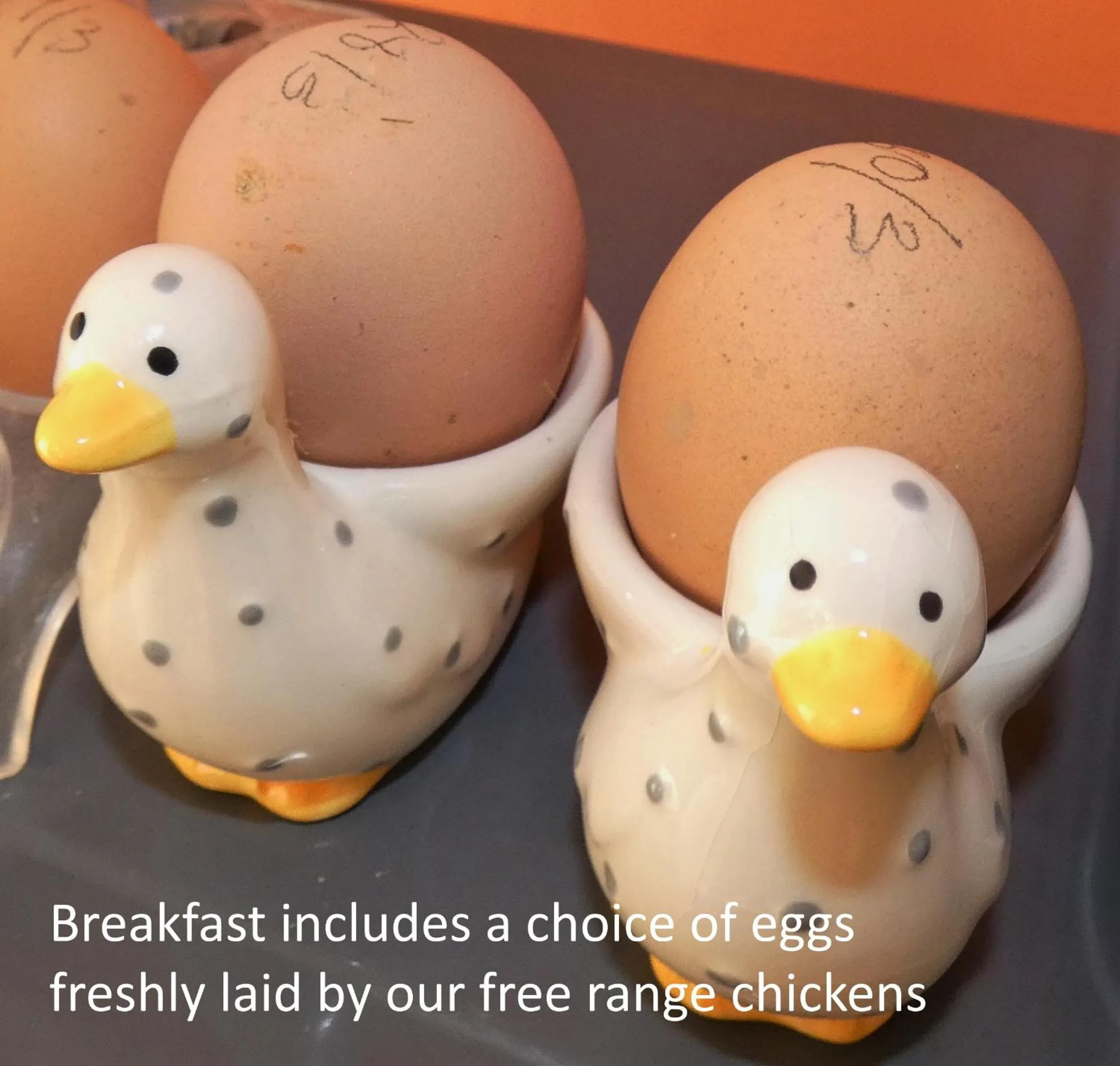 Breakfast in Wray Valley