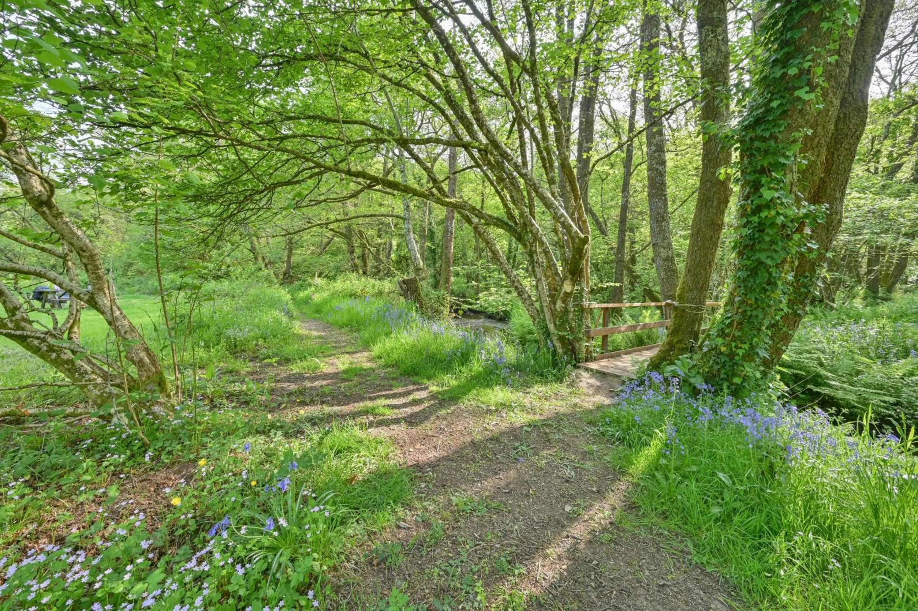 Natural landscape in Wray Valley