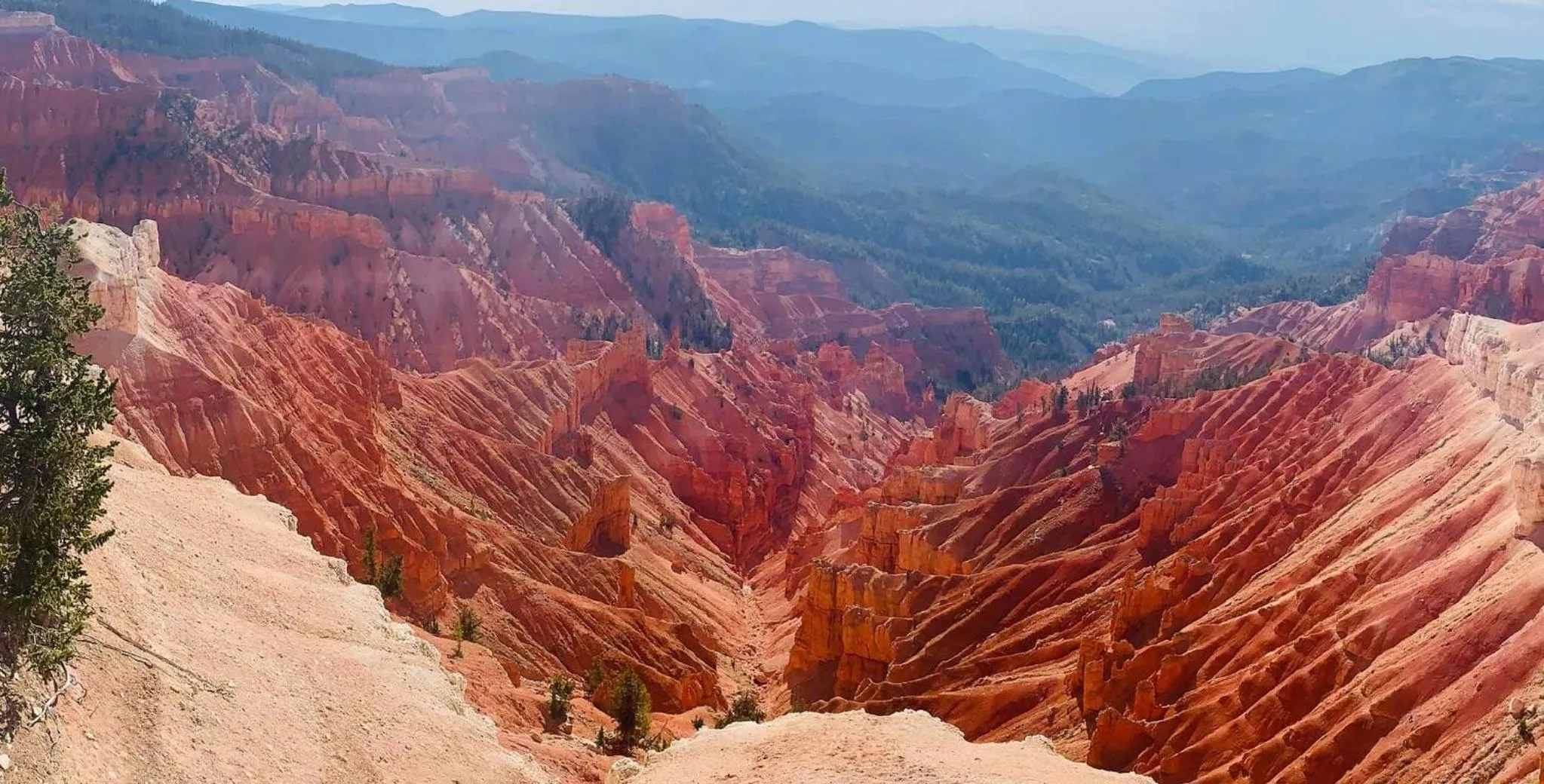 Hiking in Dragonfly Motor Lodge