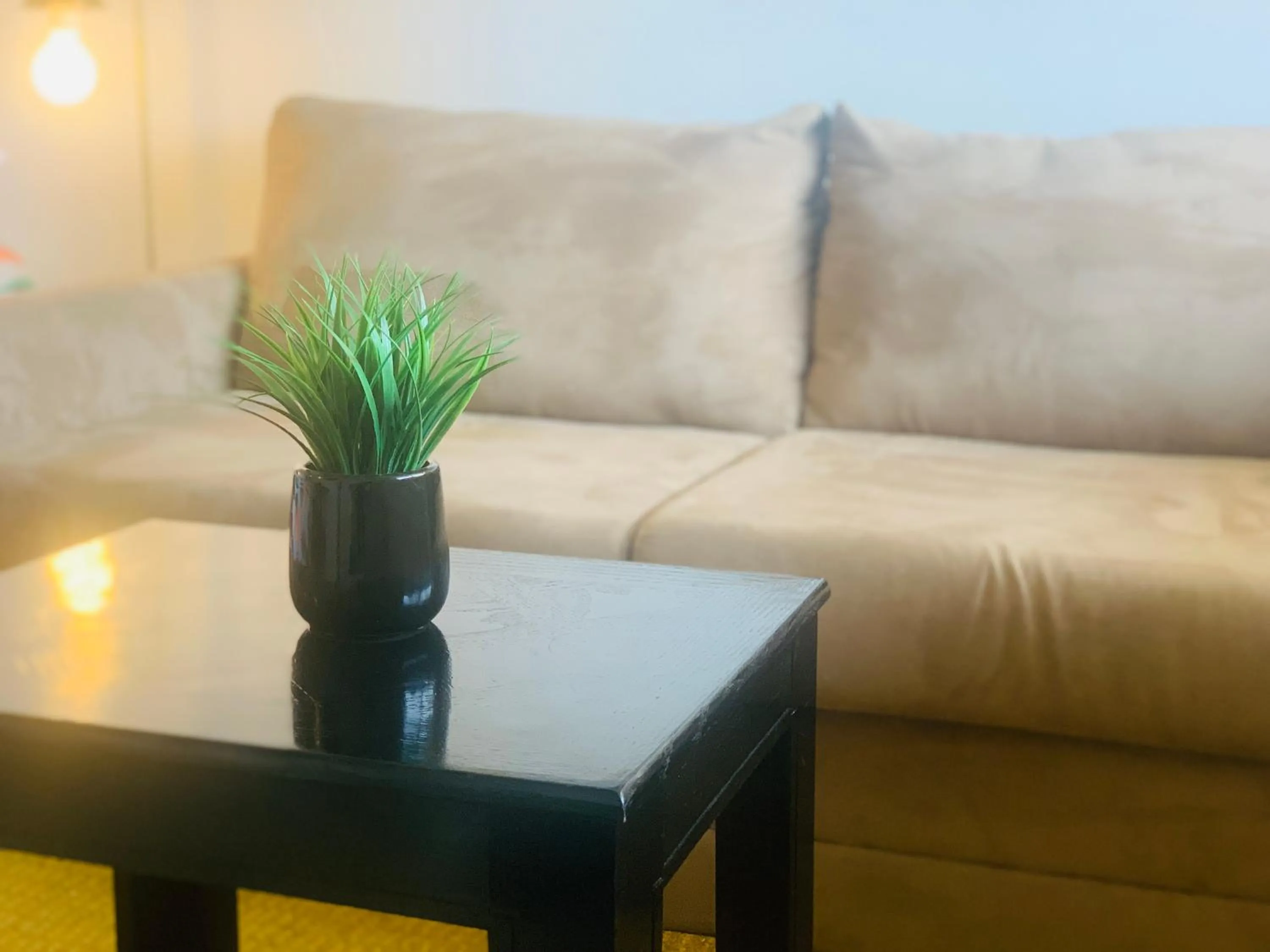 Living room in Dragonfly Motor Lodge