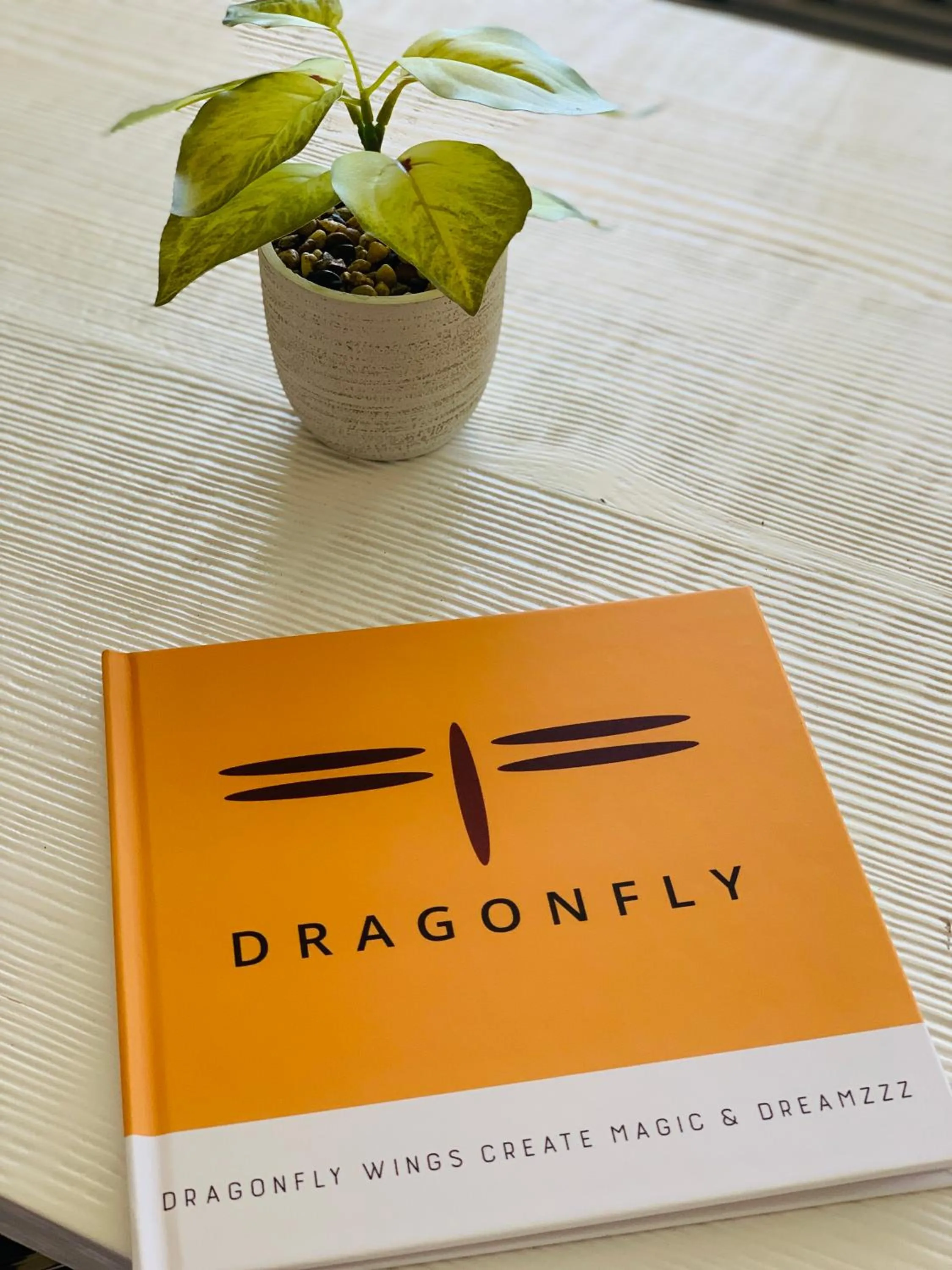 Dragonfly Motor Lodge