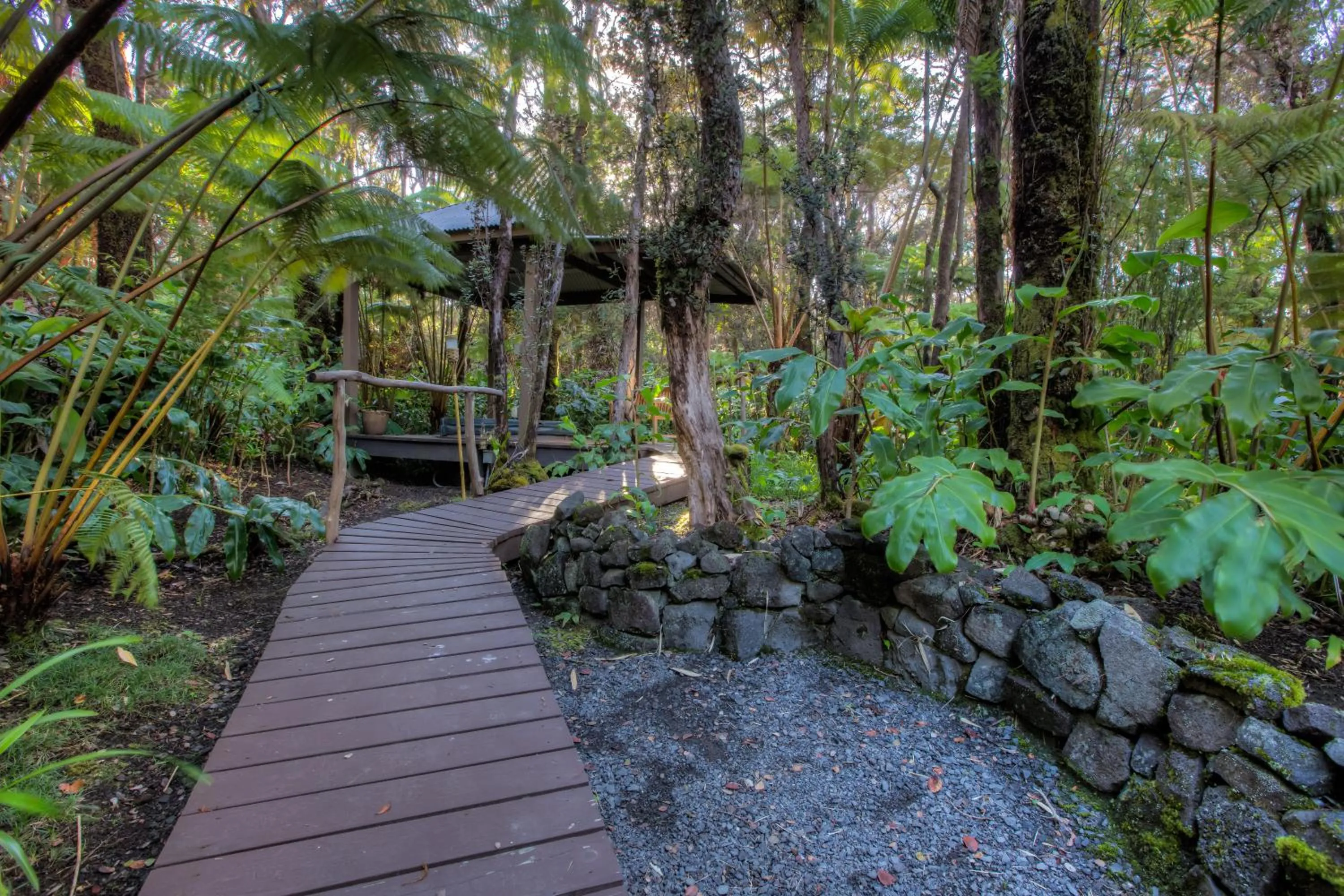 Garden in Volcano Mist Cottage