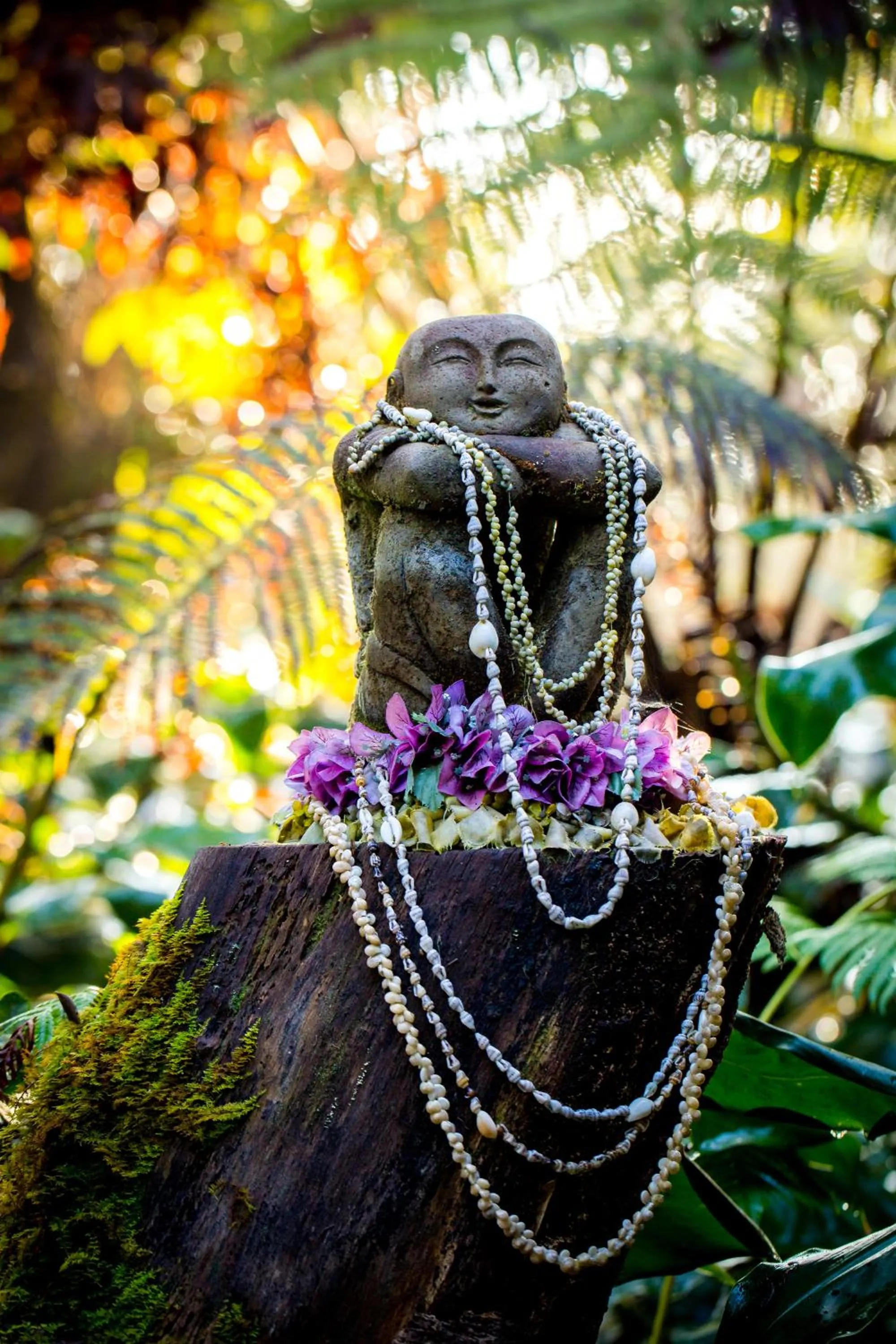 Property logo or sign in Volcano Mist Cottage