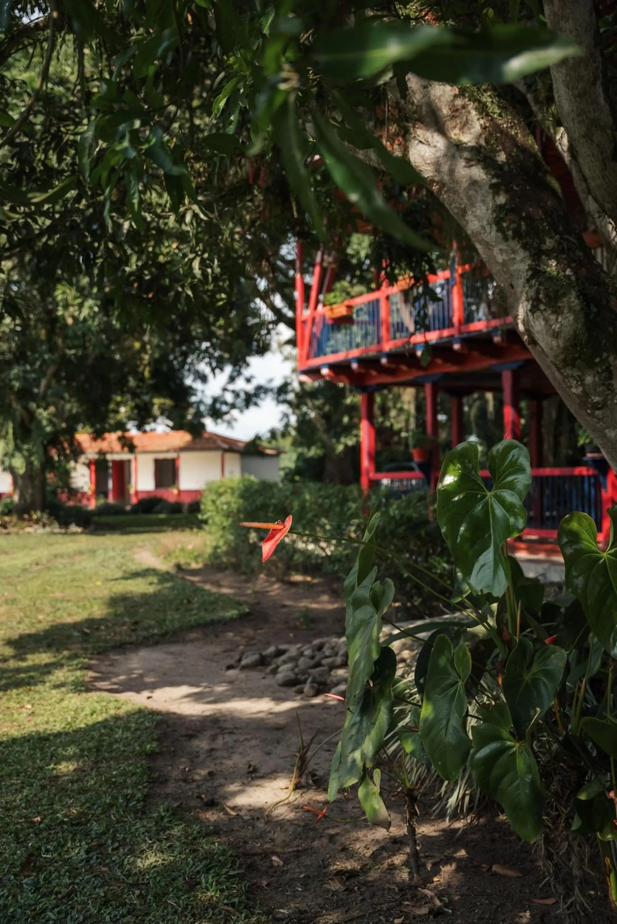 Garden in Finca Hotel
