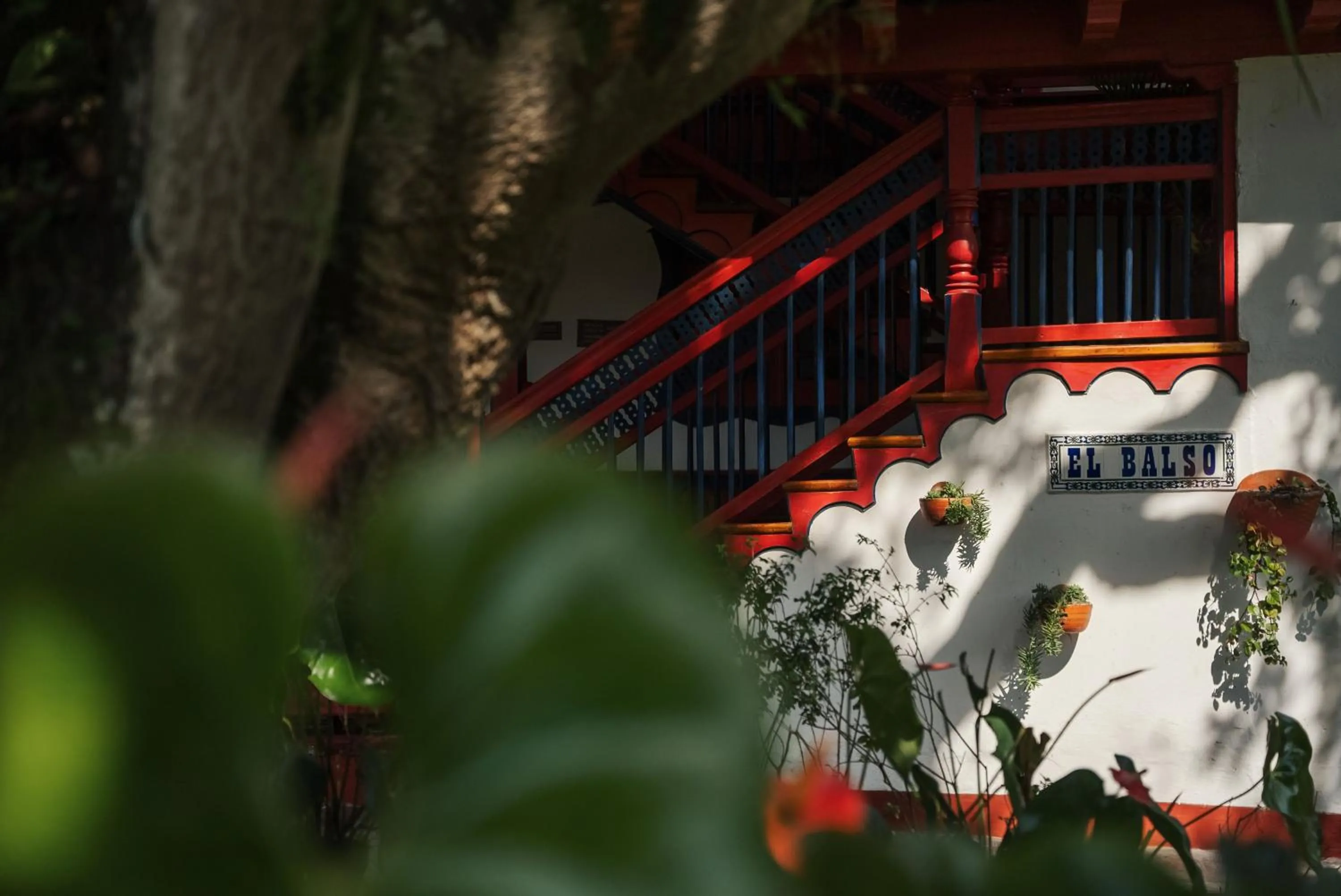 Garden in Finca Hotel