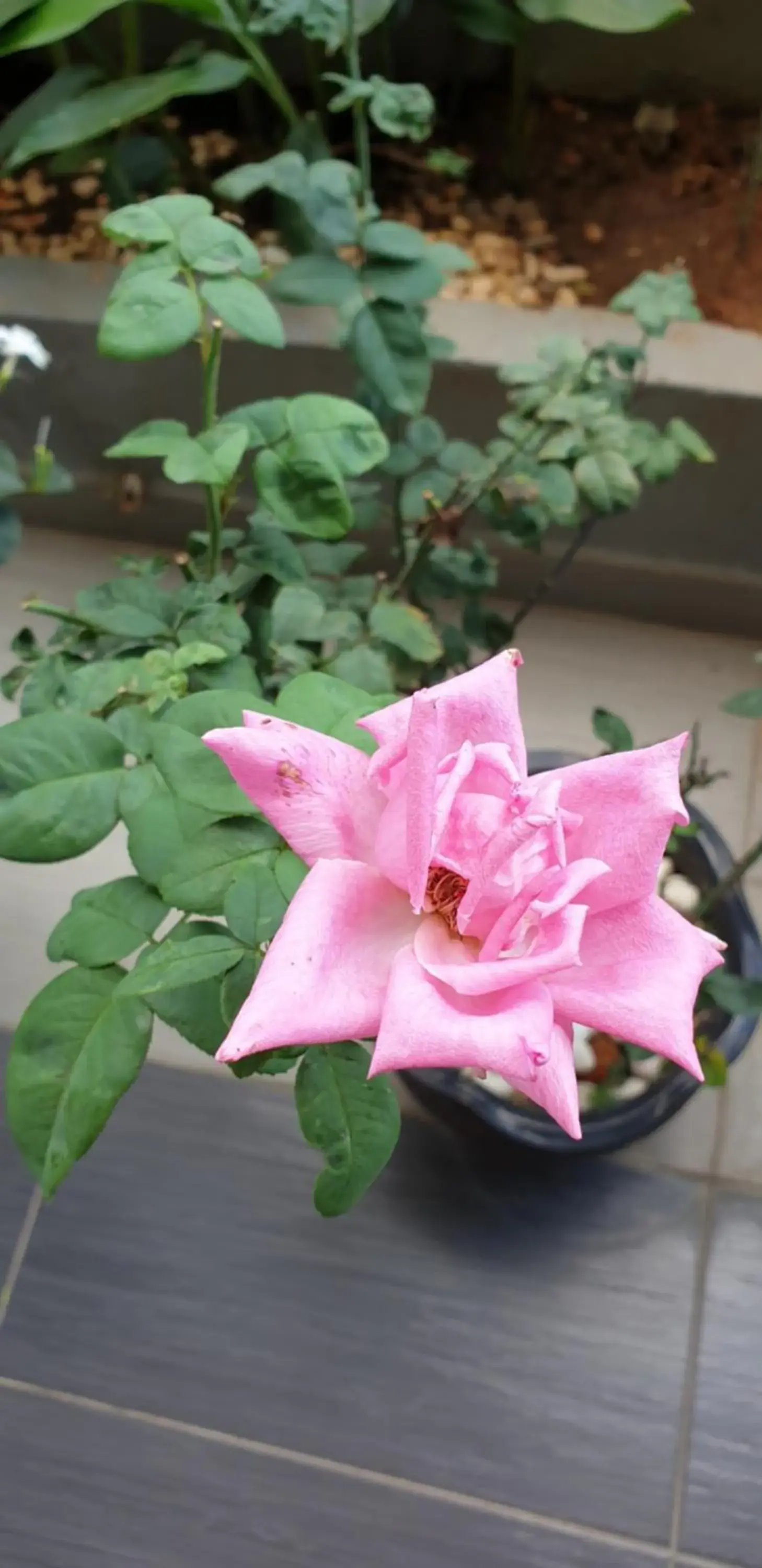 Day in 56 HOTEL Day in 56 HOTEL