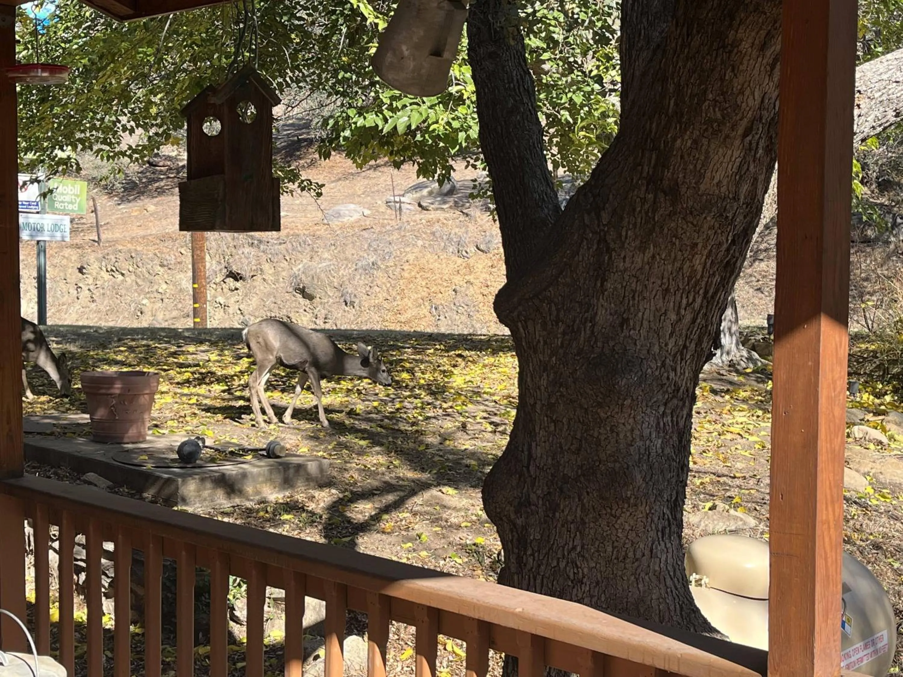 Property building in Whispering Pines Lodge