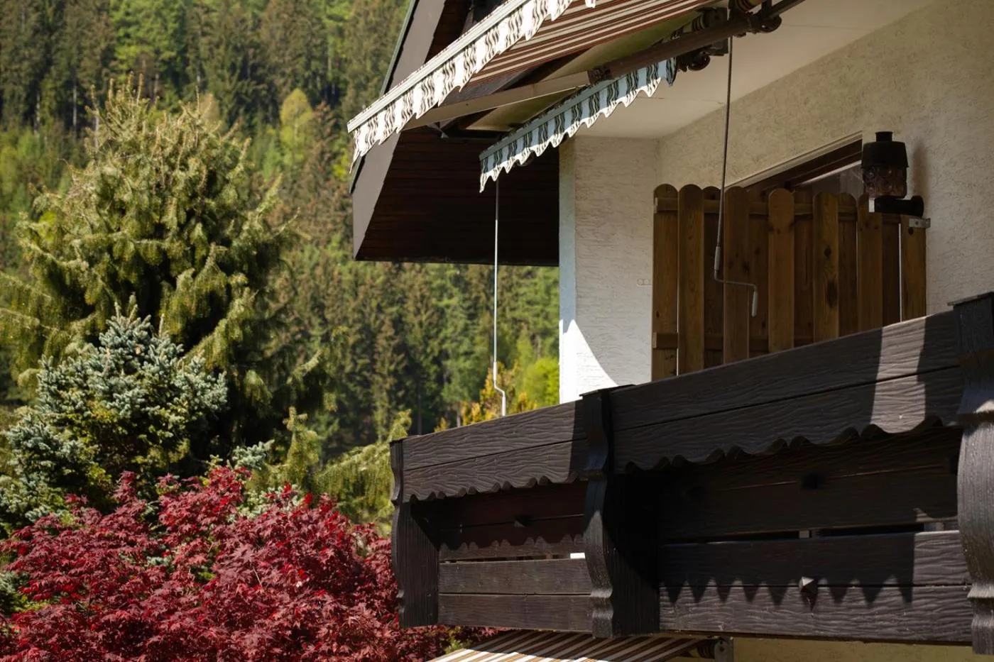 Balcony/Terrace in Hotel Petra