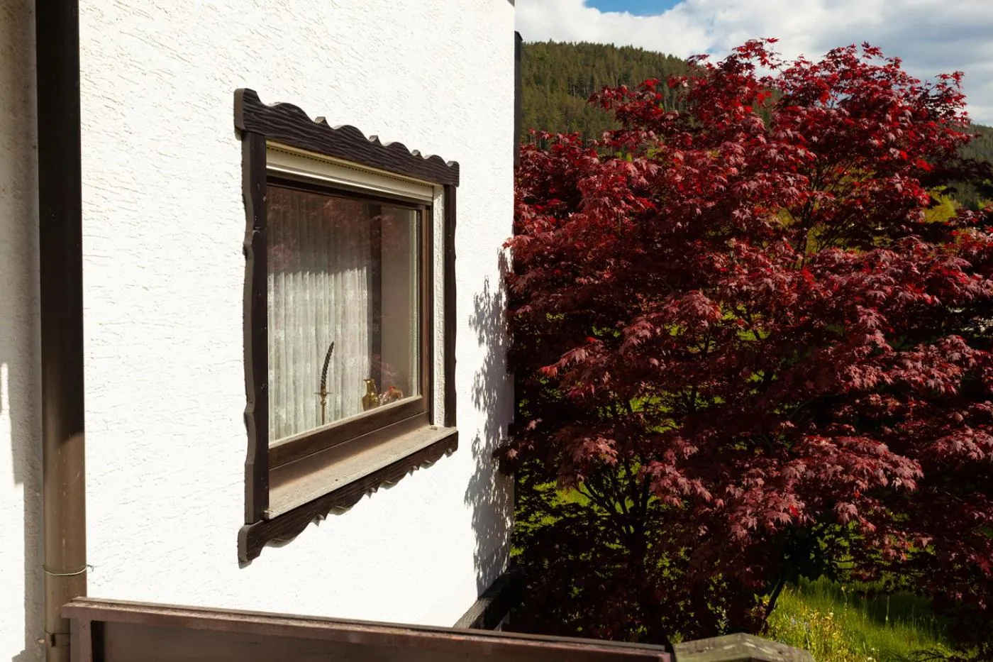 Facade/entrance in Hotel Petra