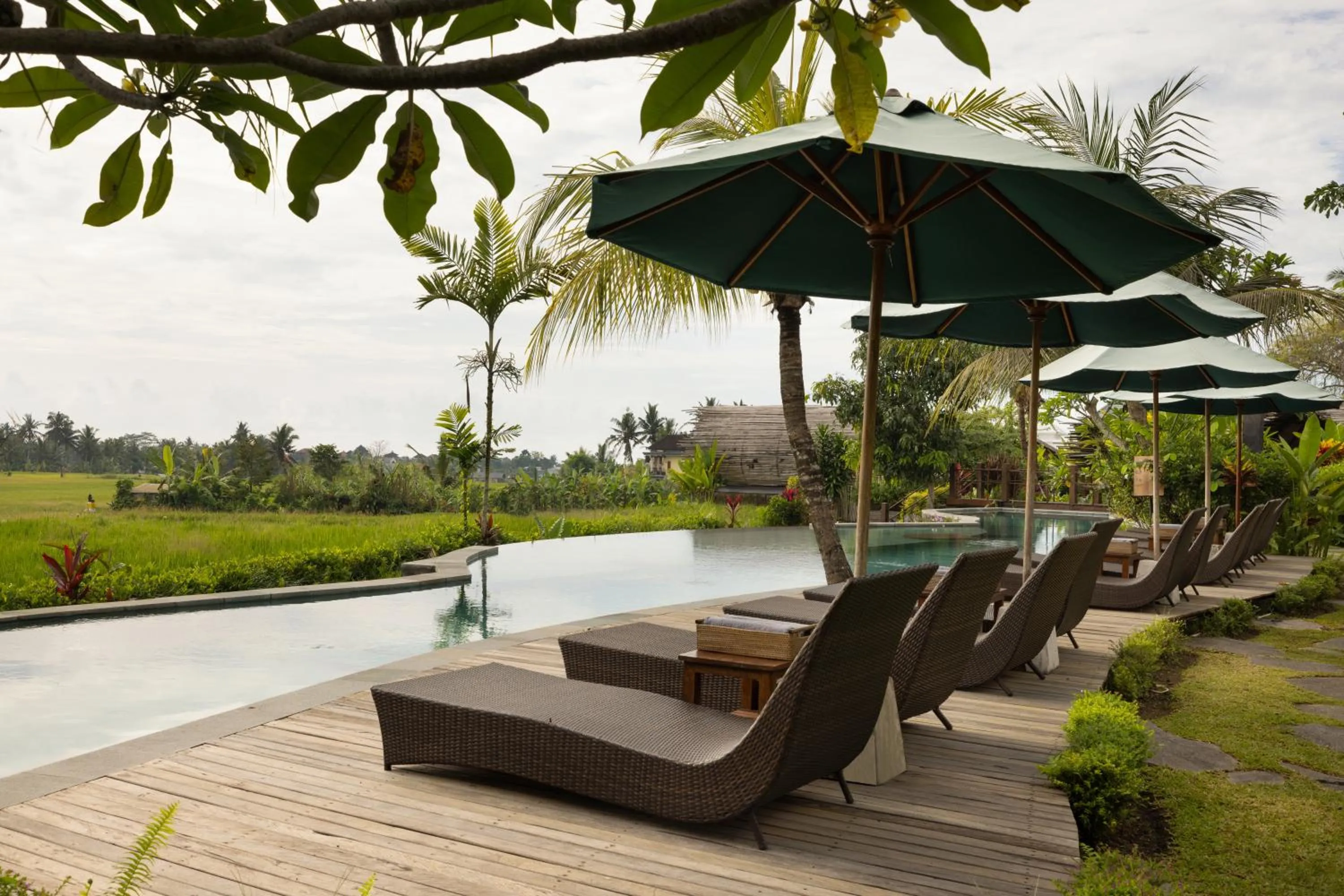 Property building in Beehouse Dijiwa Ubud