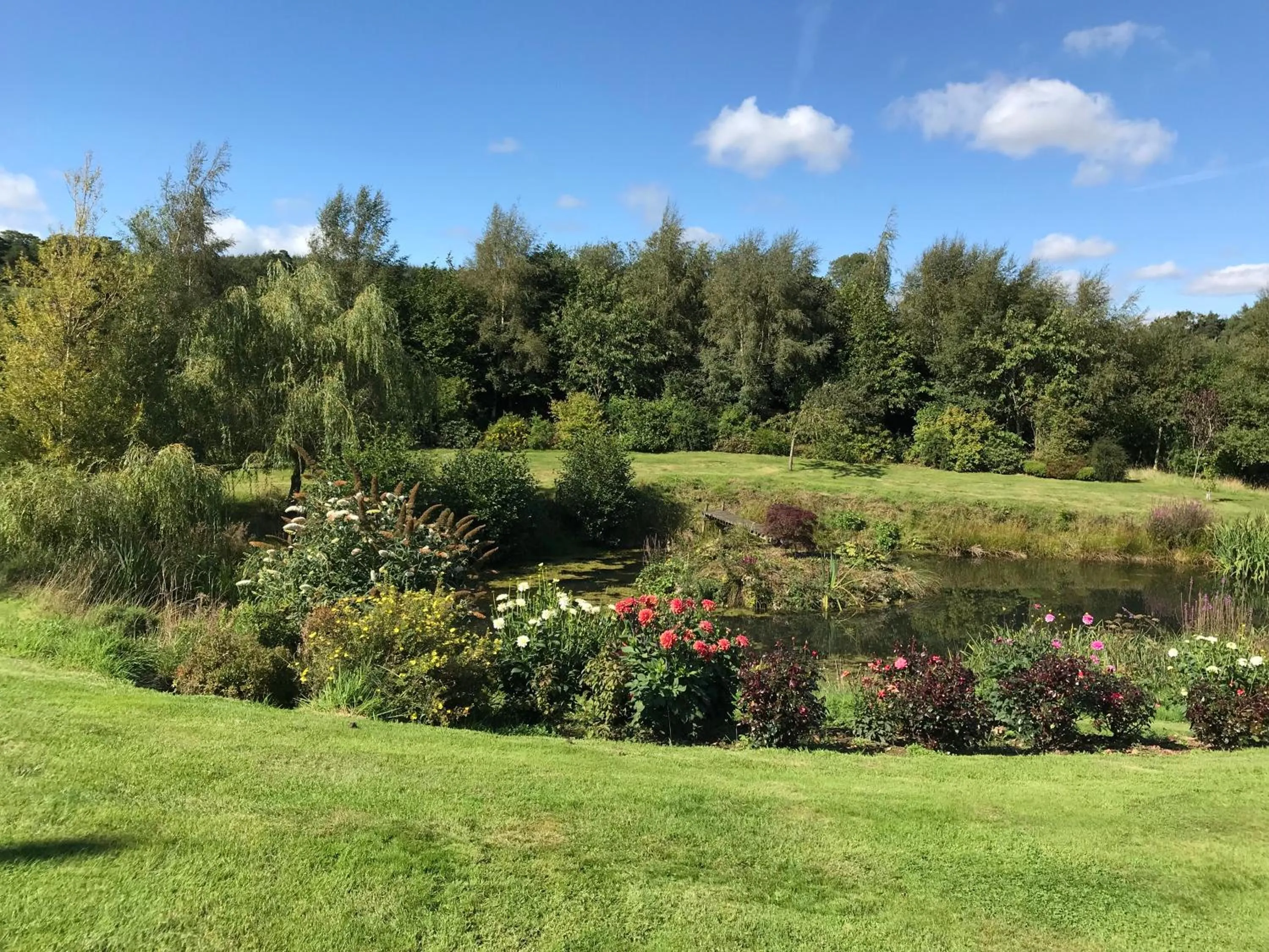 Garden in Billerwell B&B