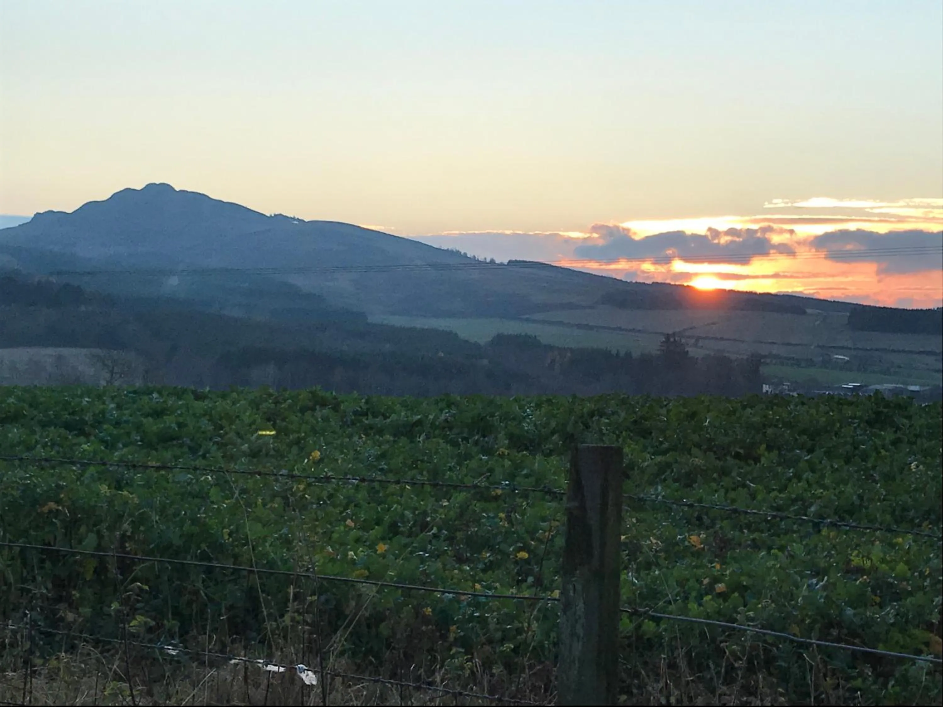 Sunset in Billerwell B&B