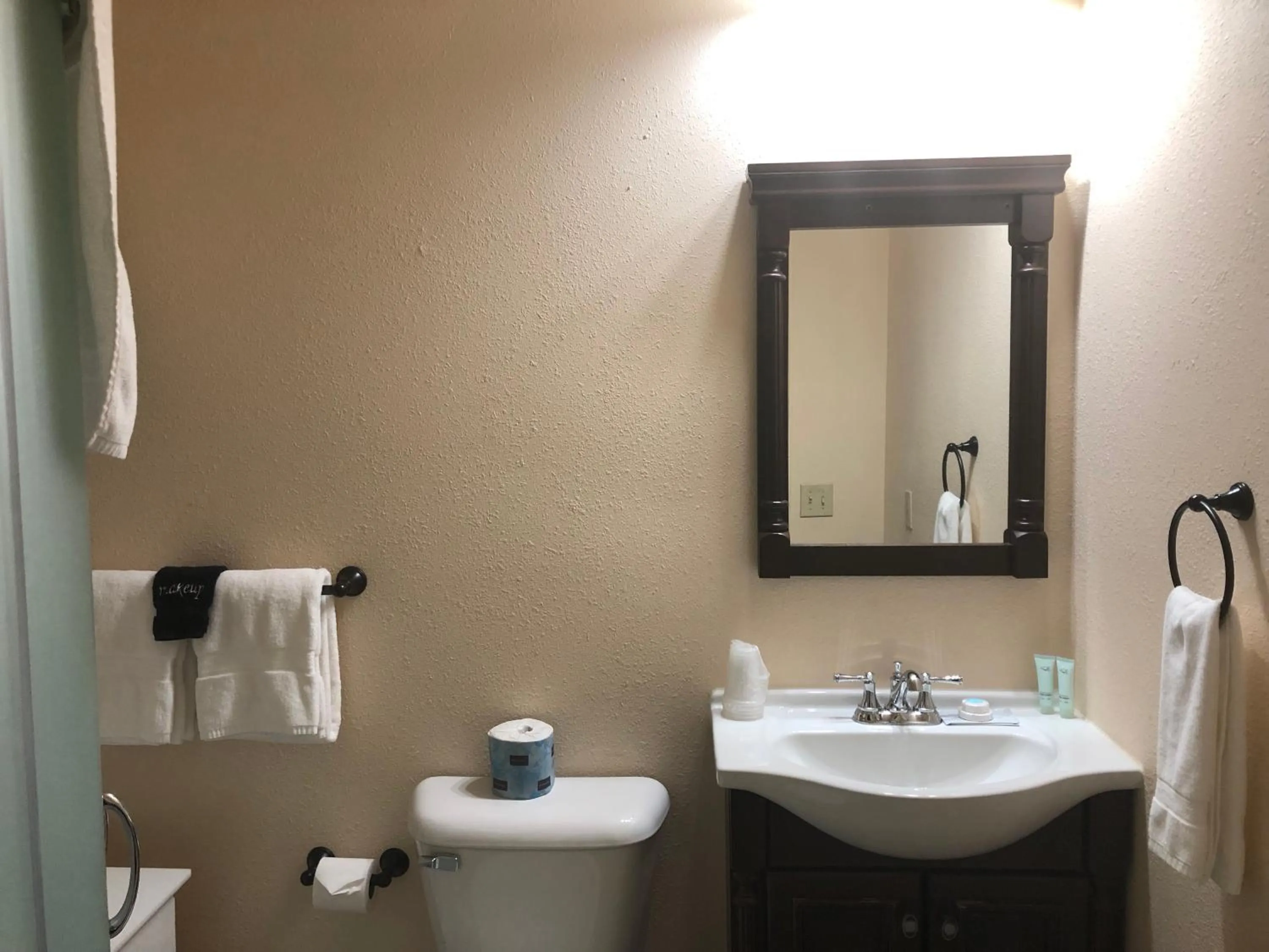 Bathroom in Mansion House Motel