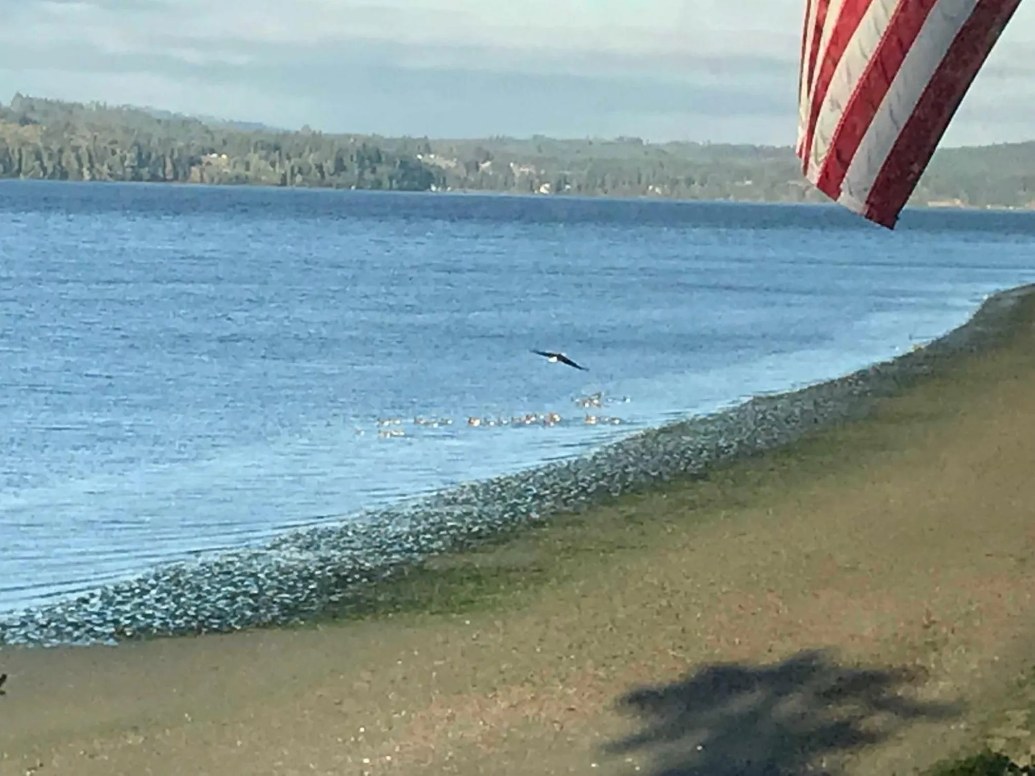 View (from property/room) in Bay Cottage Getaway