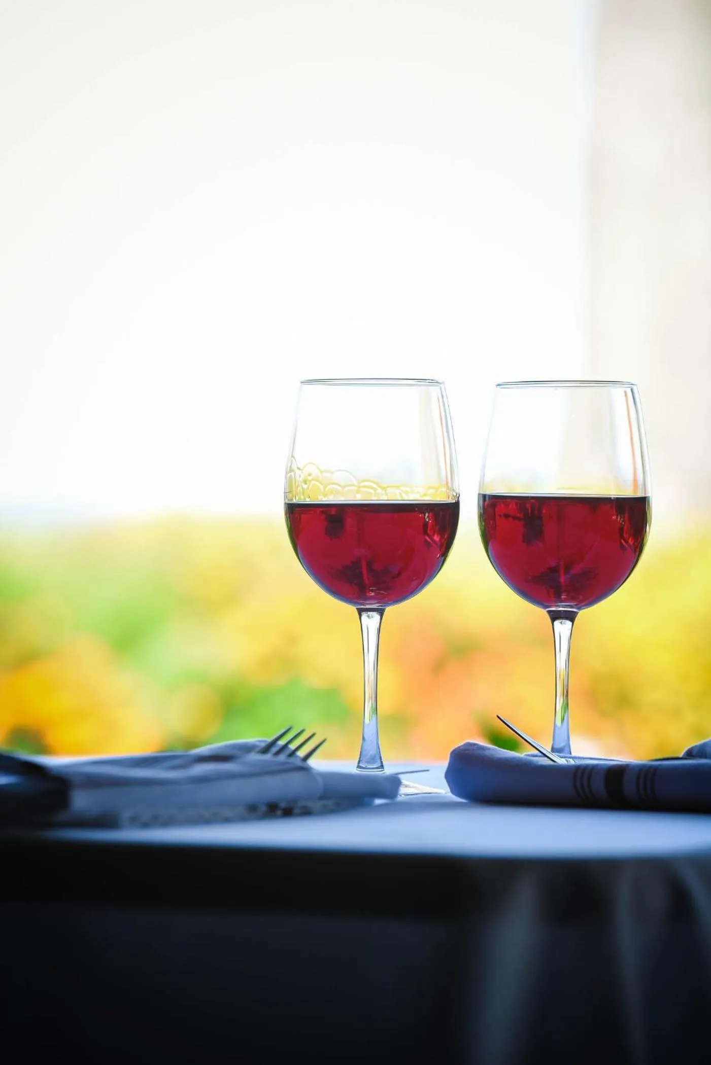 Drinks in The Lakehouse Inn Geneva