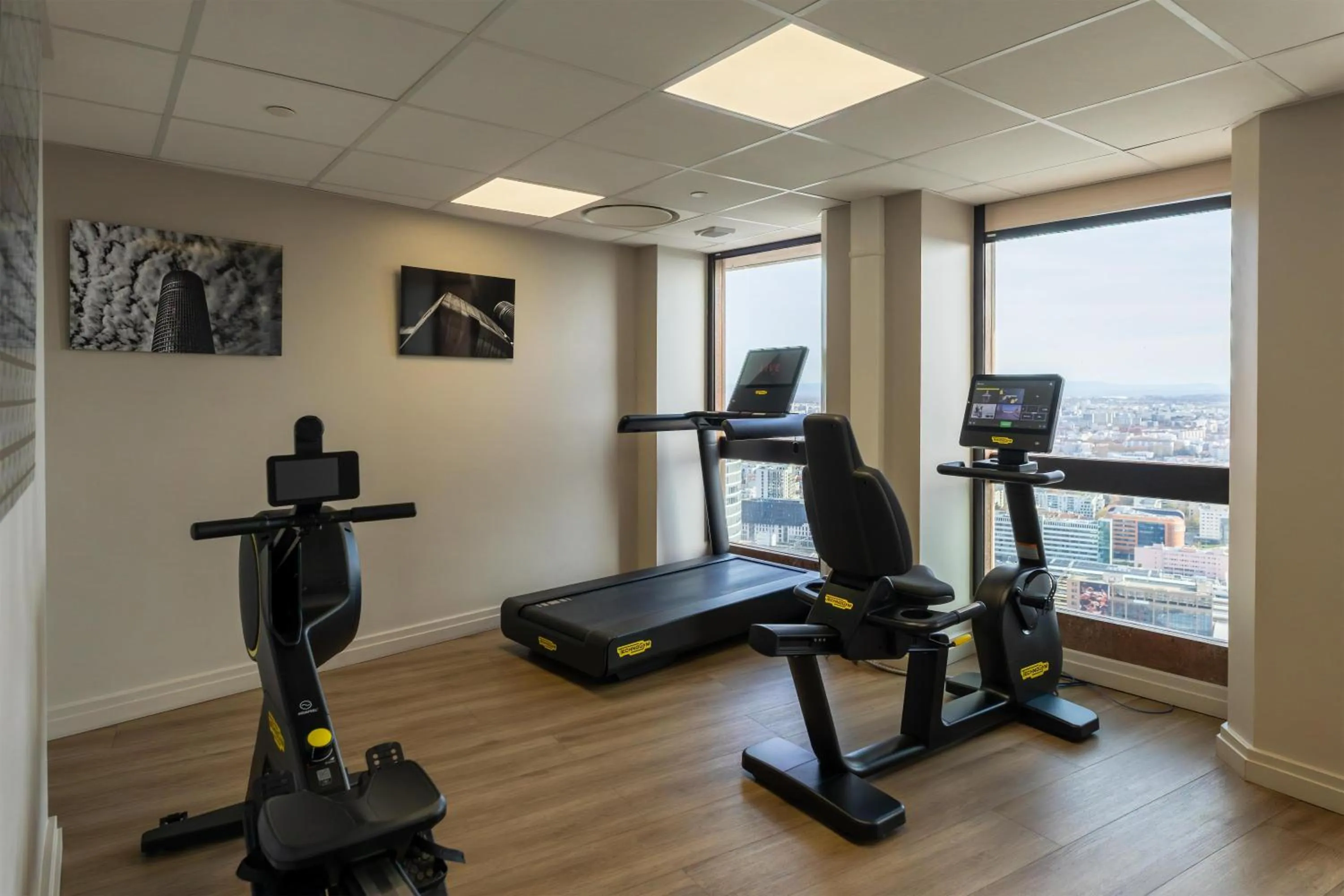 Fitness centre/facilities in Radisson Blu Hotel, Lyon