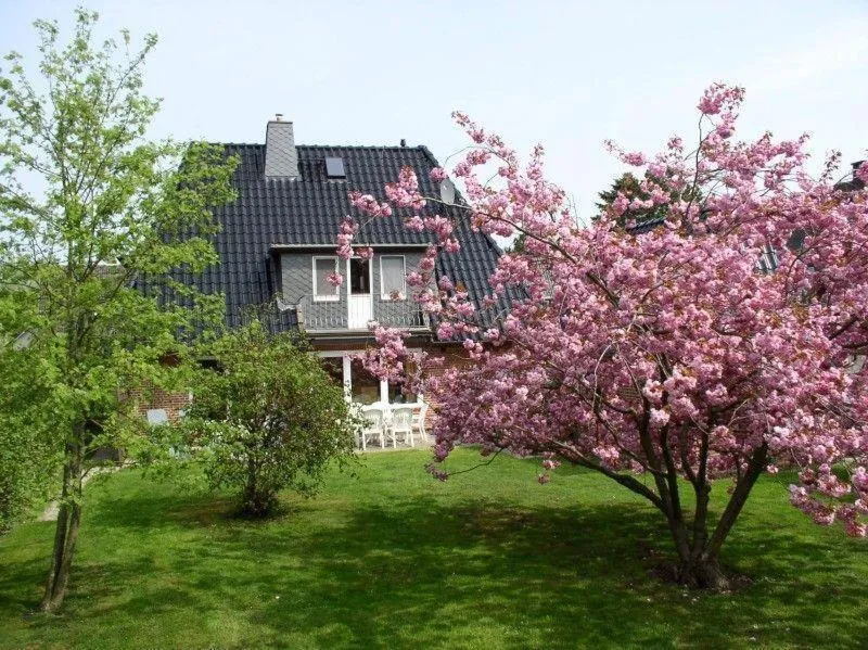 Ferienhaus Brandt