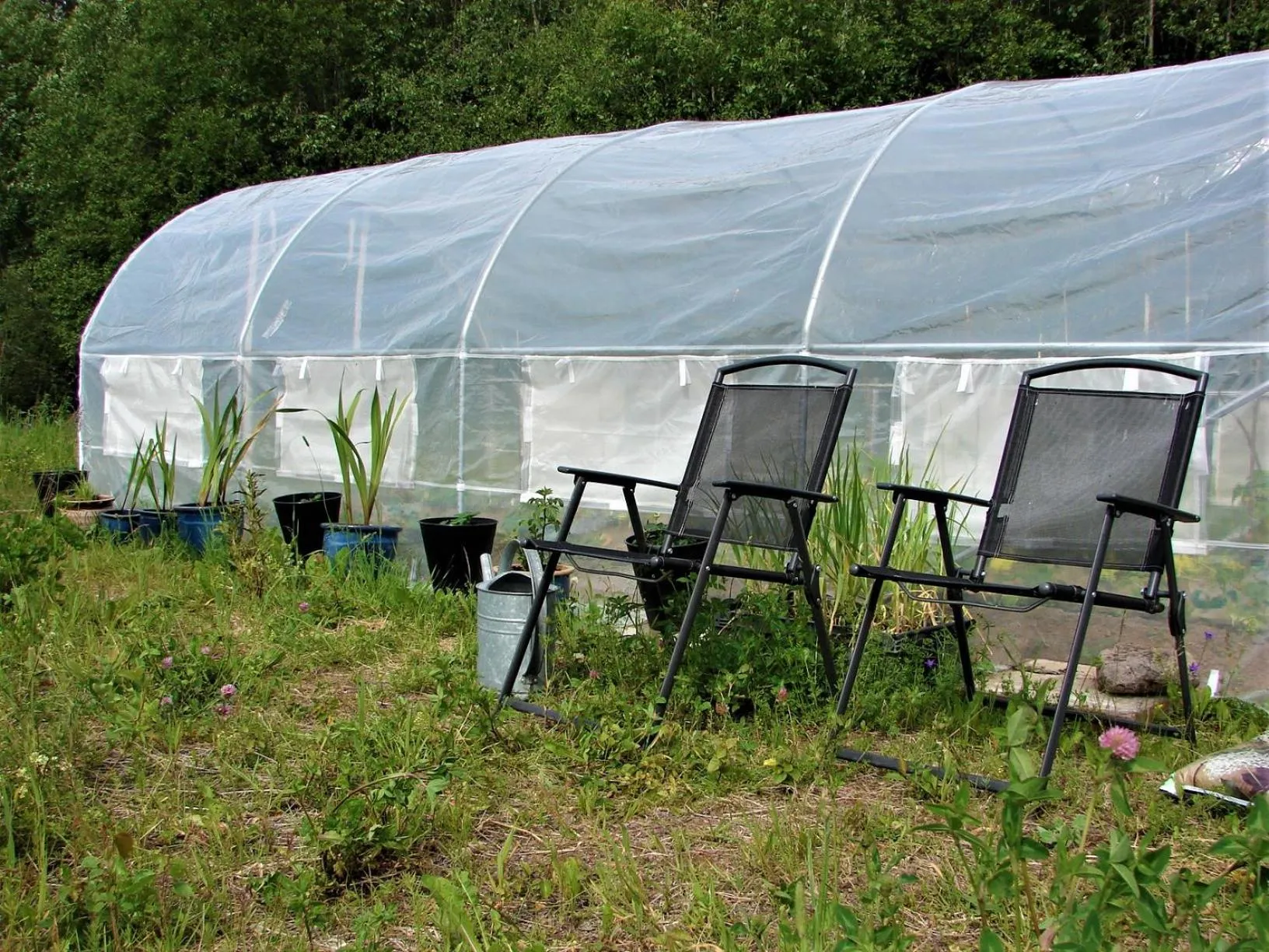 Garden in Sjugare Gård Bed & Breakfast