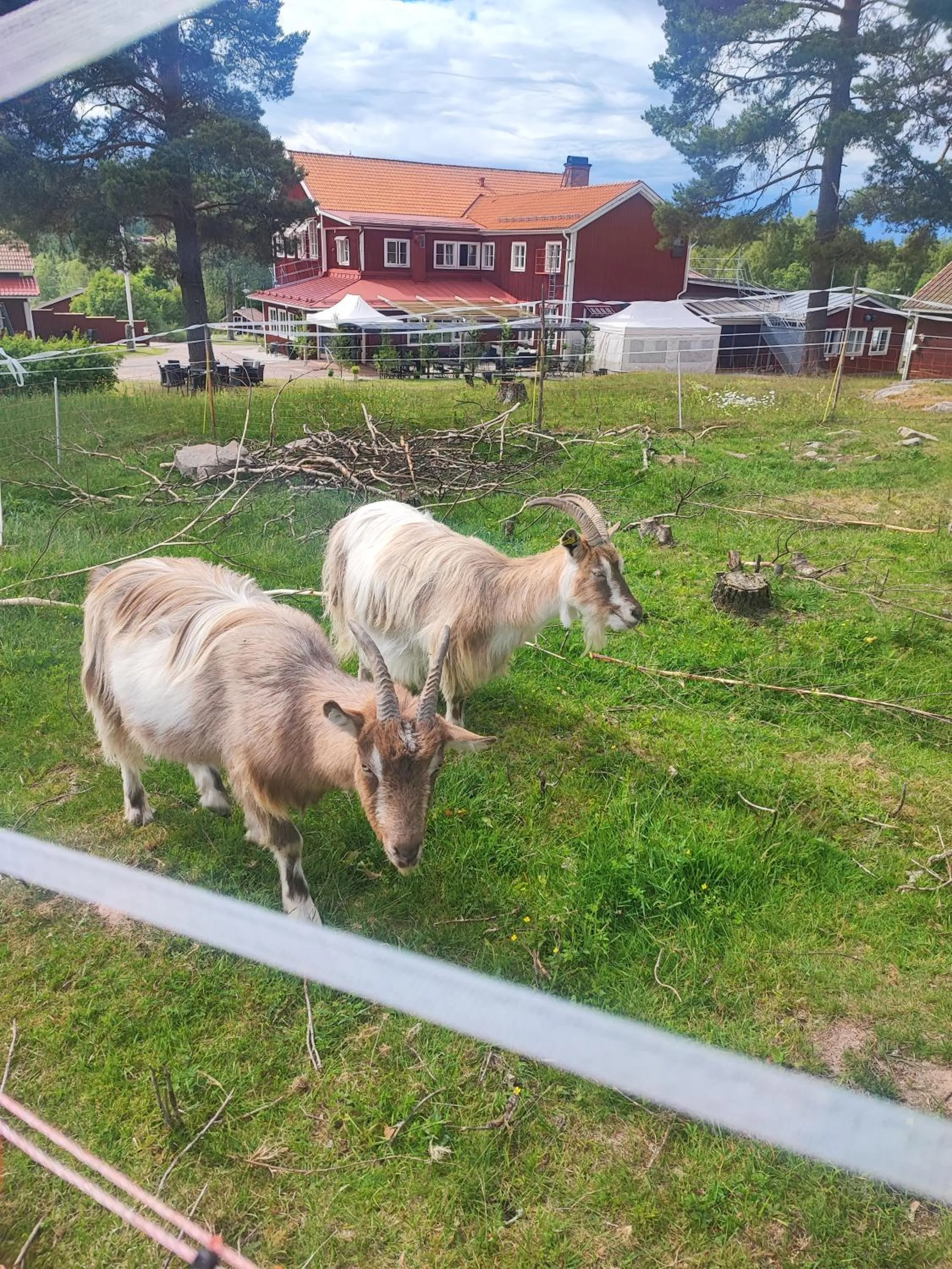 Sjugare Gård Bed & Breakfast