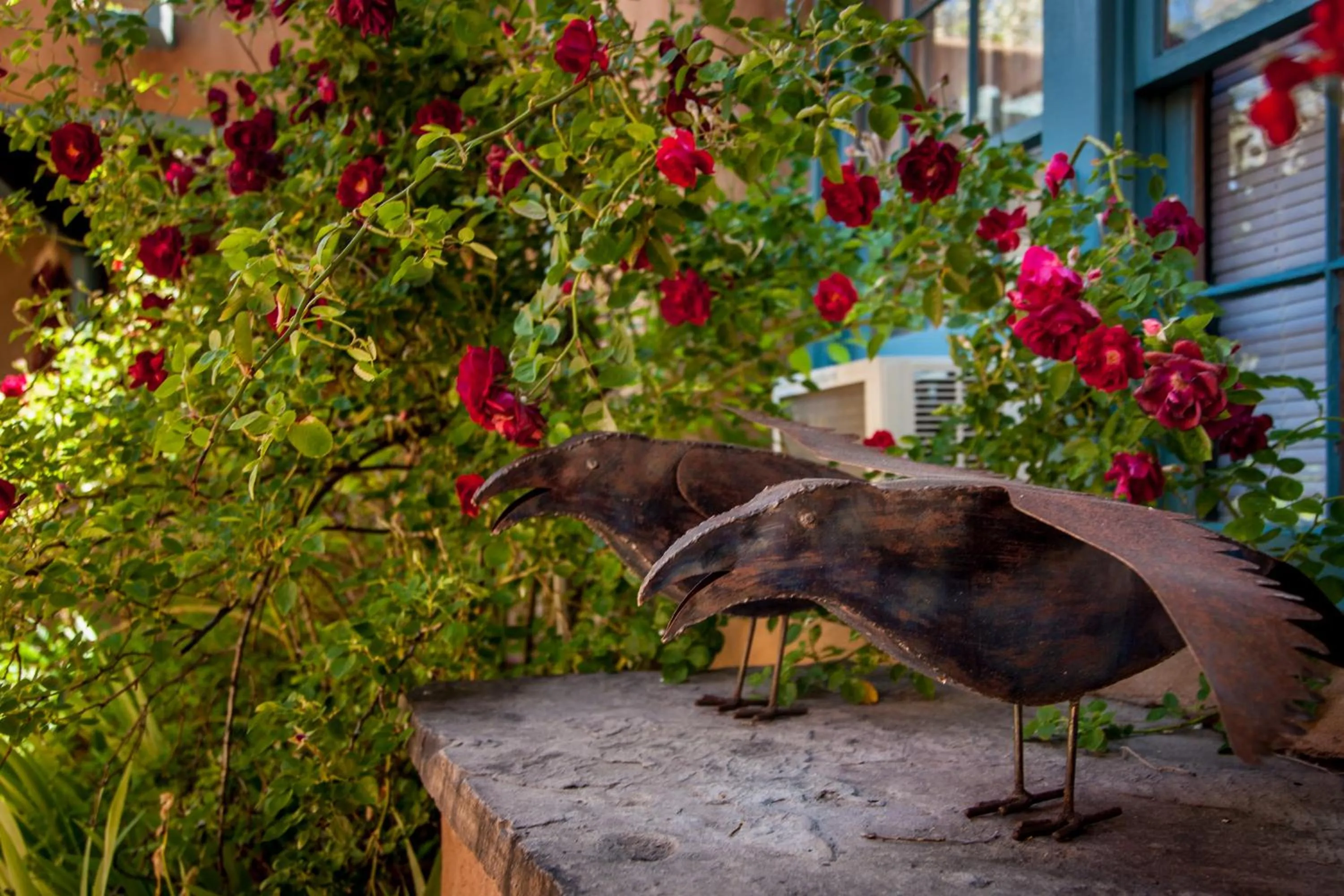Patio in Pueblo Bonito Inn