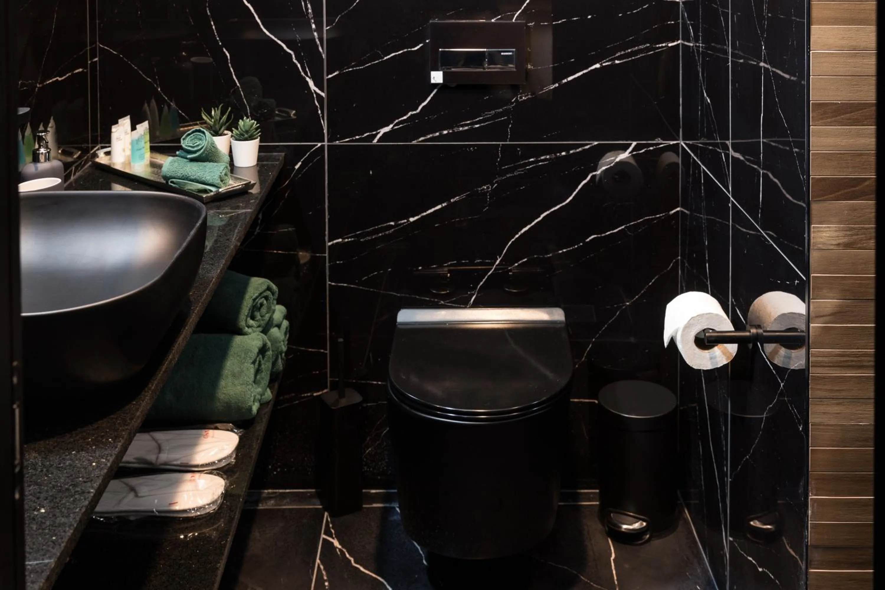 Shower in Joseph Hotel TLV