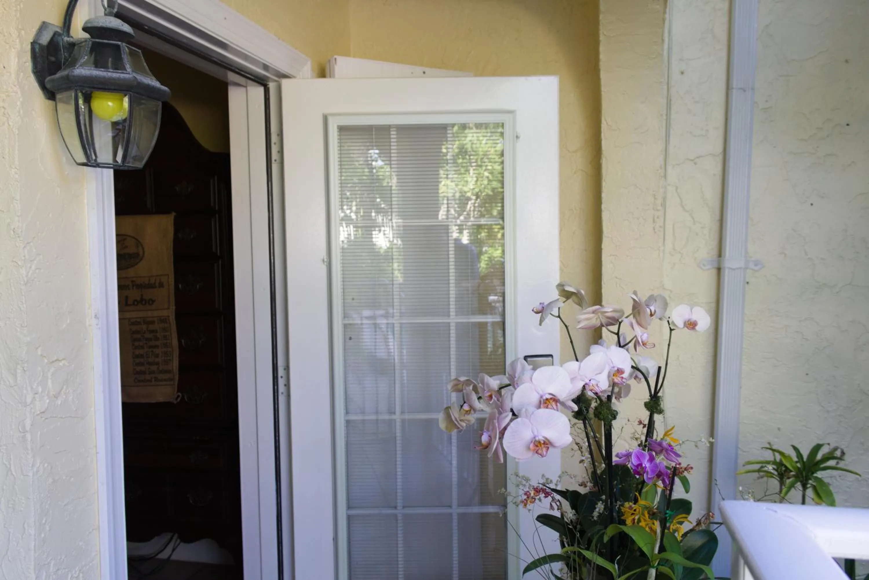 The Caribbean Court Boutique Hotel