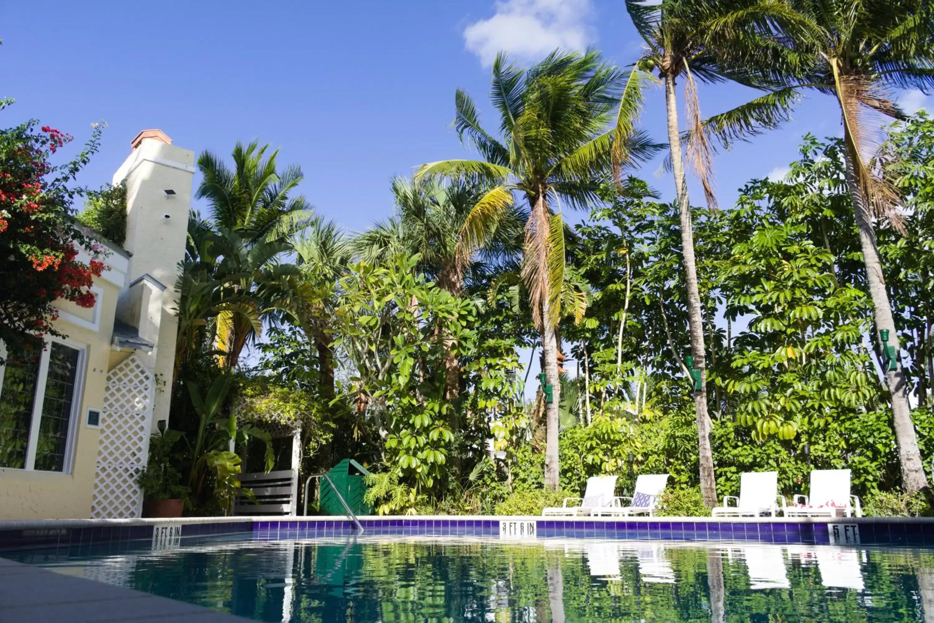 Pool view in The Caribbean Court Boutique Hotel Pool view in The Caribbean Court Boutique Hotel