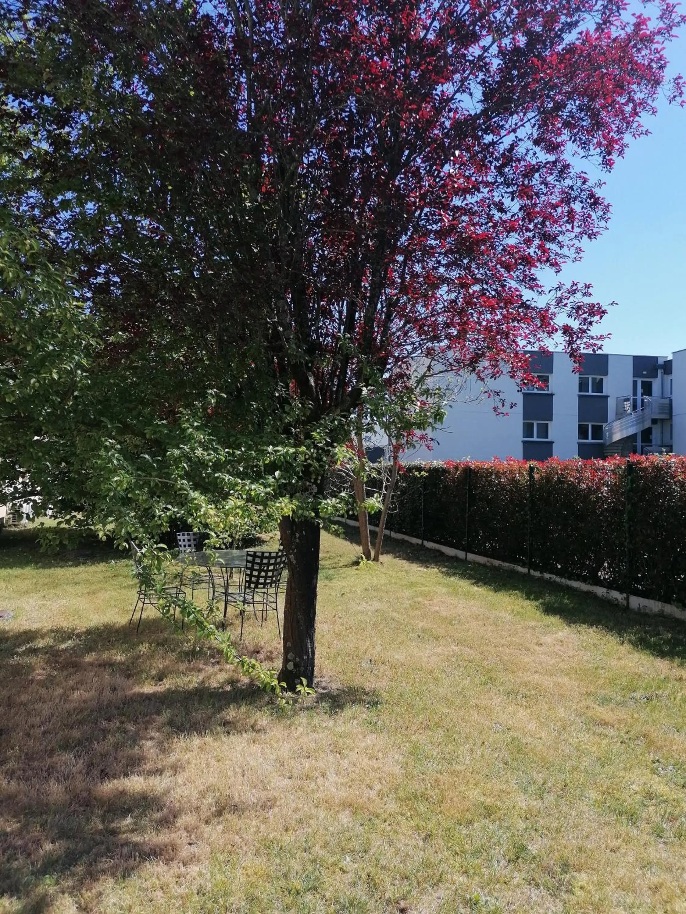 Garden in The Originals City Hôtel Bordeaux Porte du Bassin