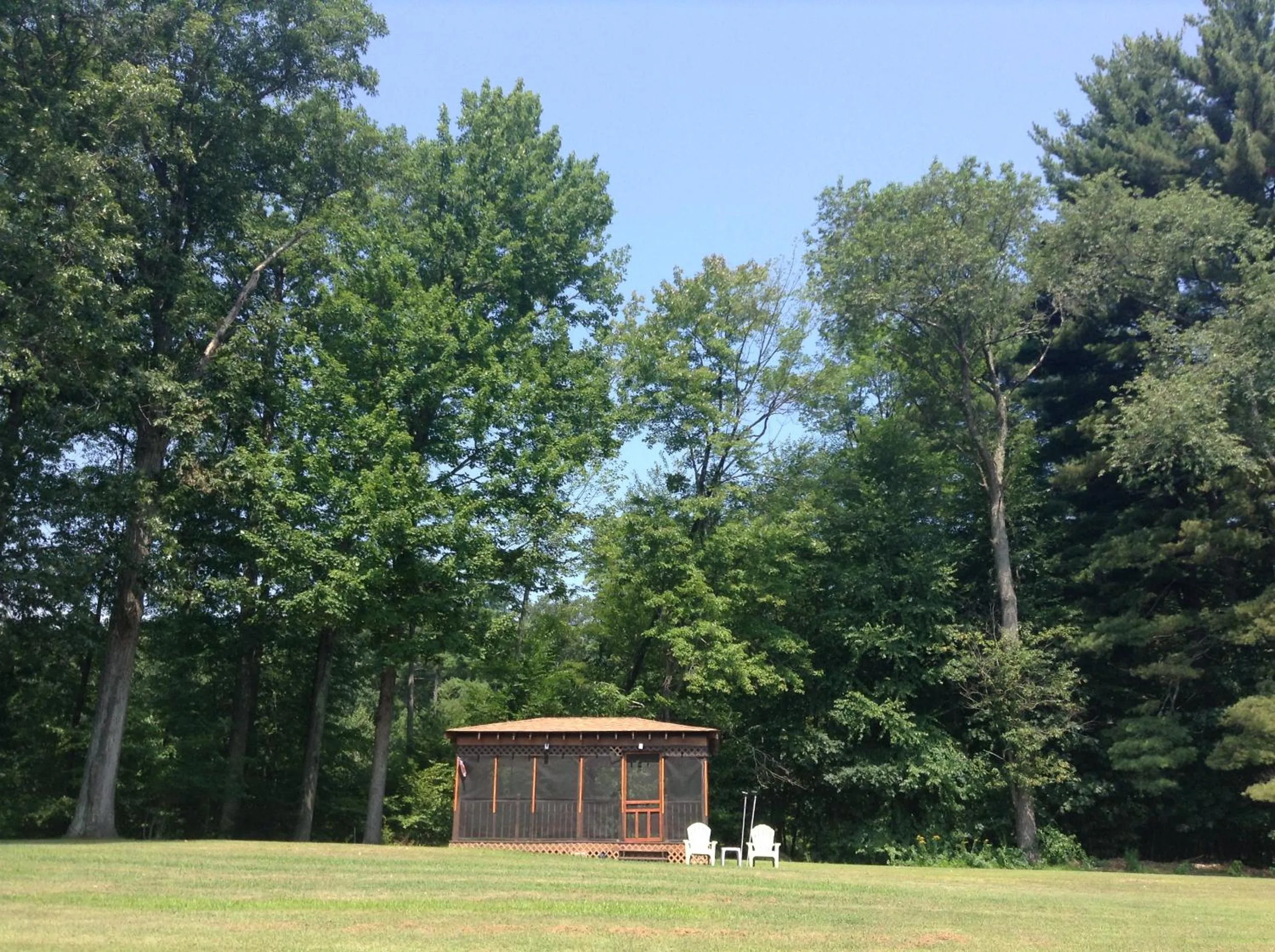 Natural landscape in Robin Hood Motel