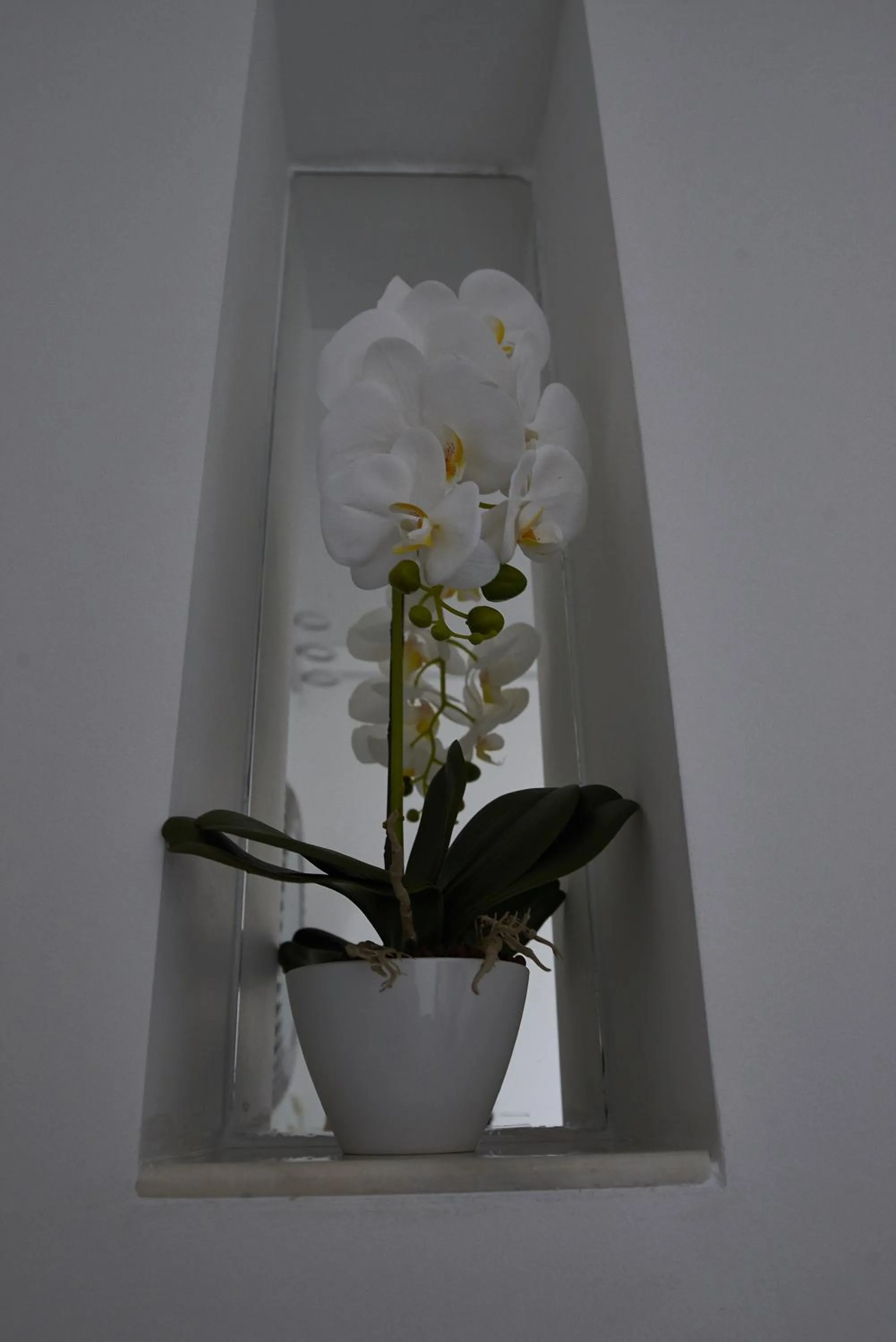 Decorative detail in Metropole Apartments Old Town