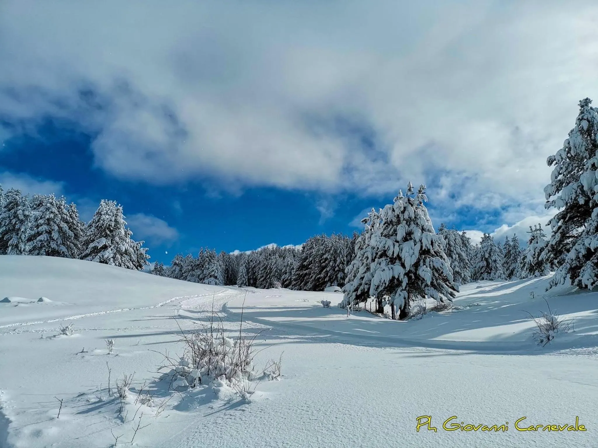 Skiing in B&B La Mia Valigia