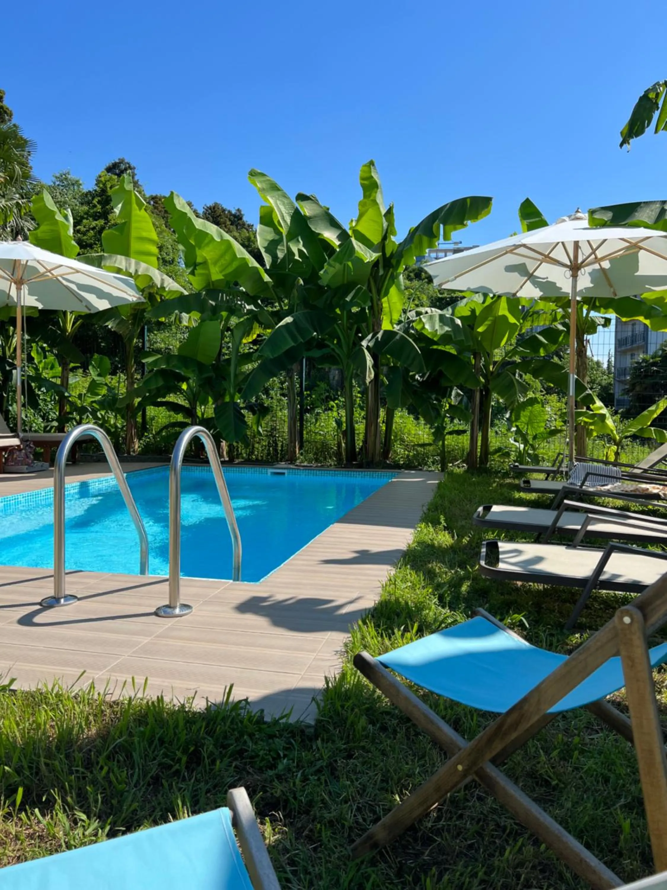 Garden in Cabo Verde Boutique Hotel