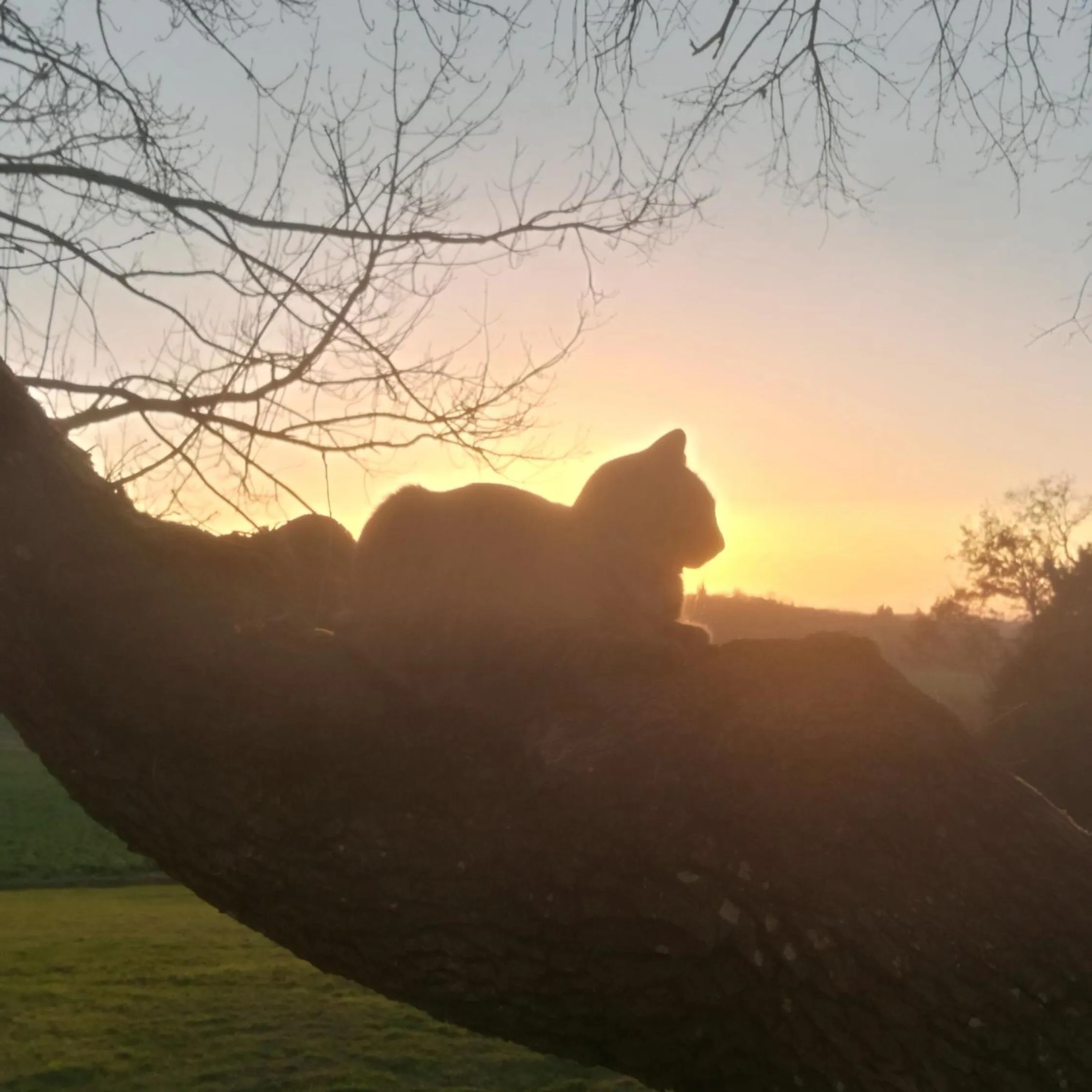 Property building in Maison Saint-Pé (Gers)