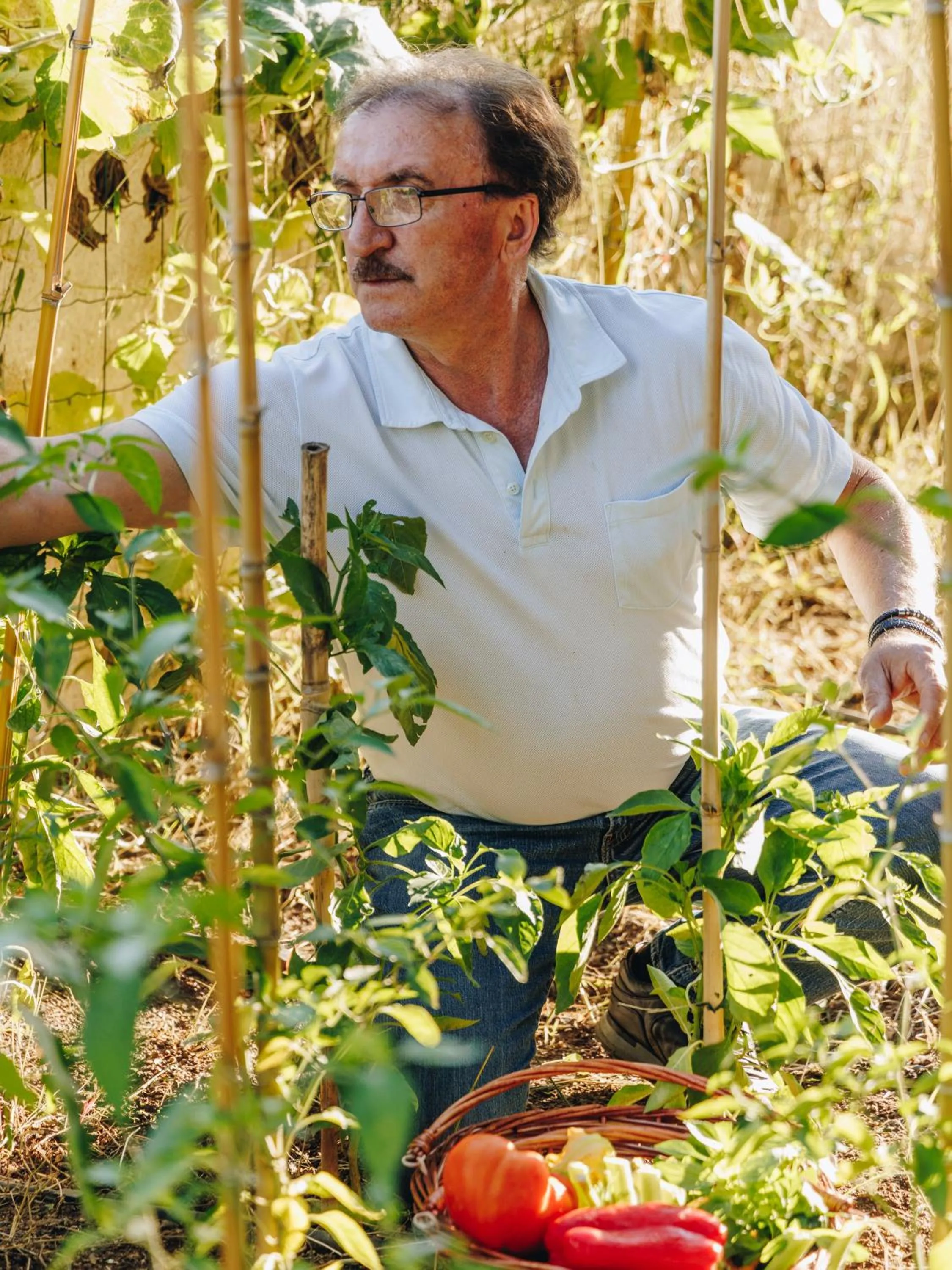 Garden in Hotel Corsica & Spa Serena