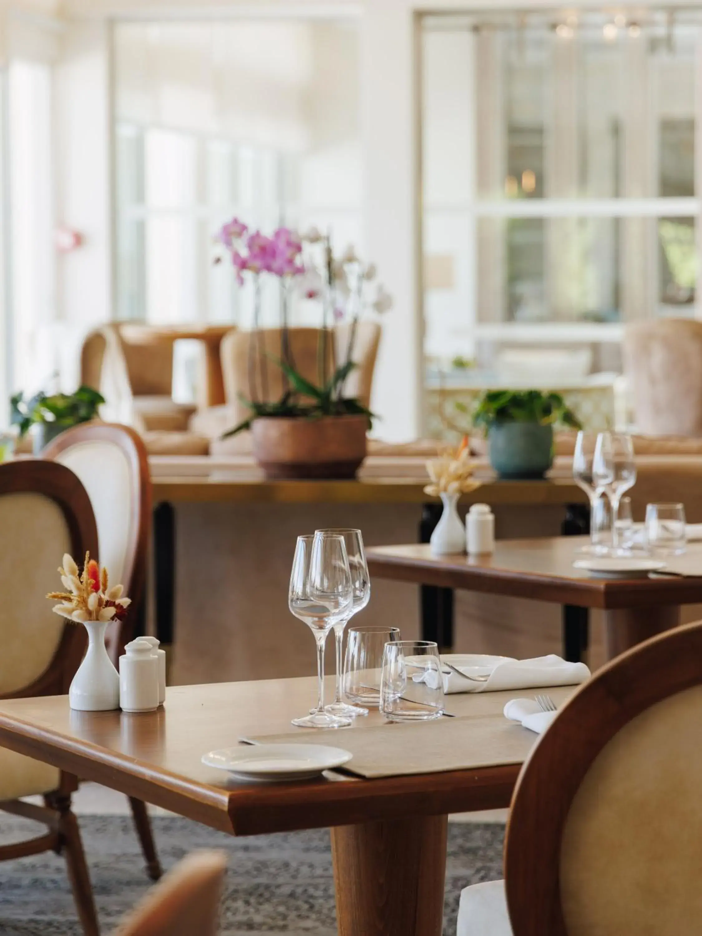 Restaurant/places to eat in Hotel Corsica & Spa Serena Restaurant/places to eat in Hotel Corsica & Spa Serena