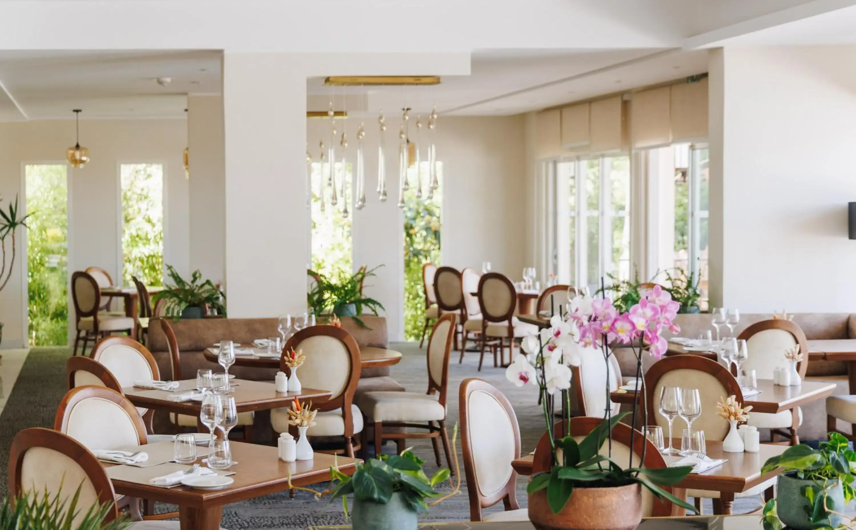 Restaurant/places to eat in Hotel Corsica & Spa Serena Restaurant/places to eat in Hotel Corsica & Spa Serena