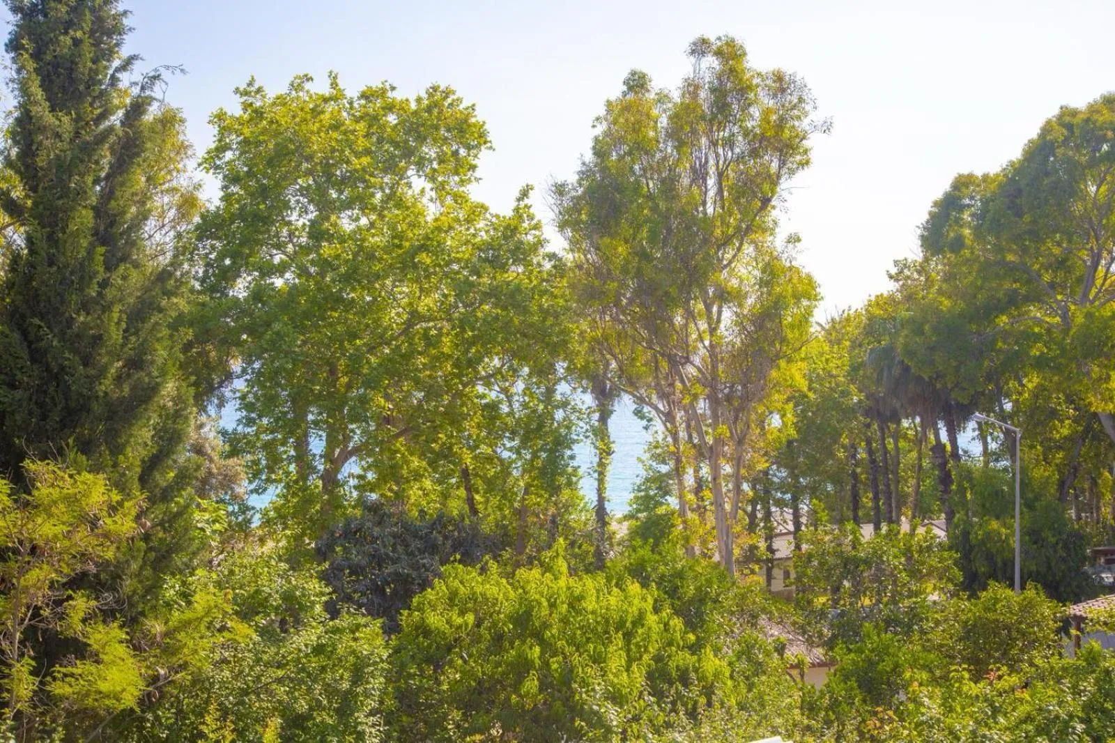 Natural landscape in Aroma Butik Hotel