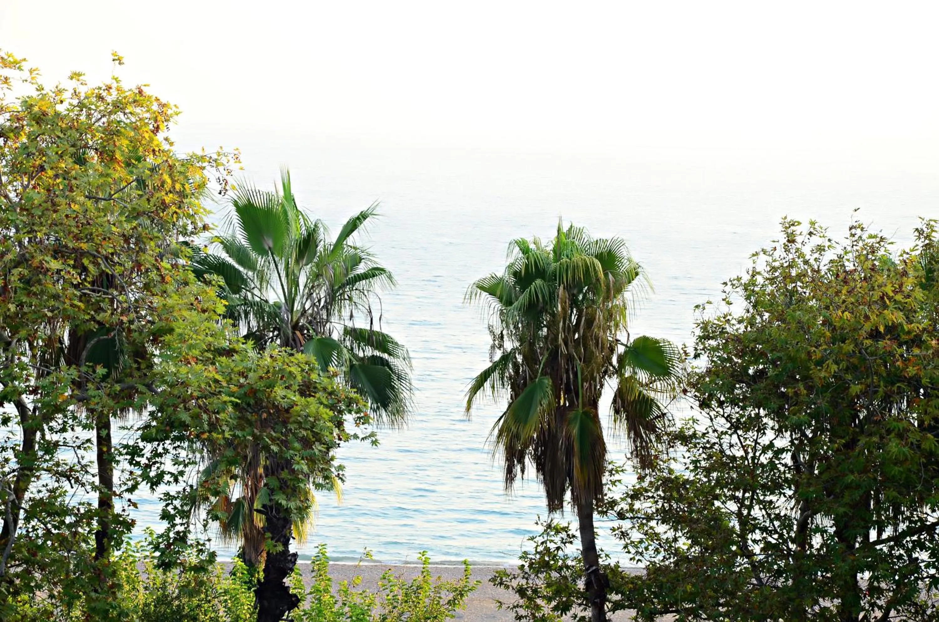 Natural landscape in Aroma Butik Hotel