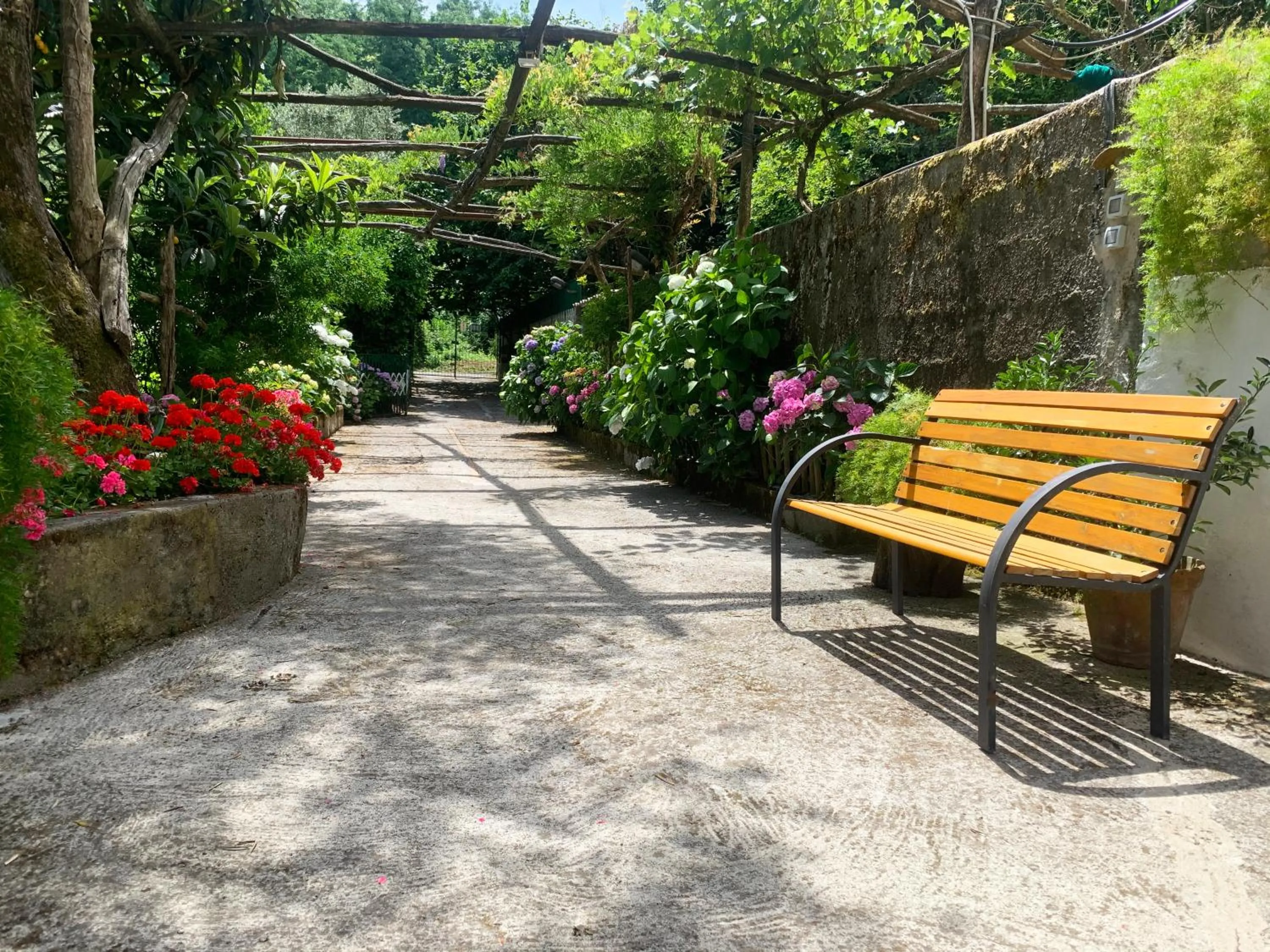 Property building in Sorrento Hills